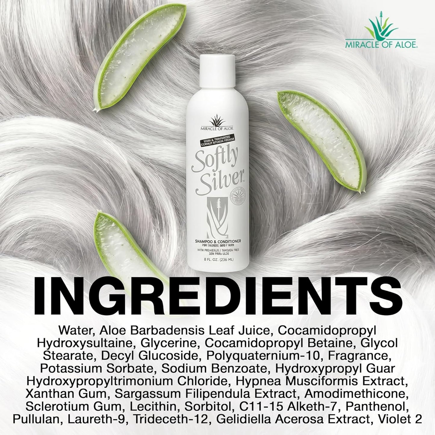 Silver Shampoo for Gray Hair - 2-in-1 Purple Restorative Wash with Panthenol & Aloe | Adds Luster & Bounce