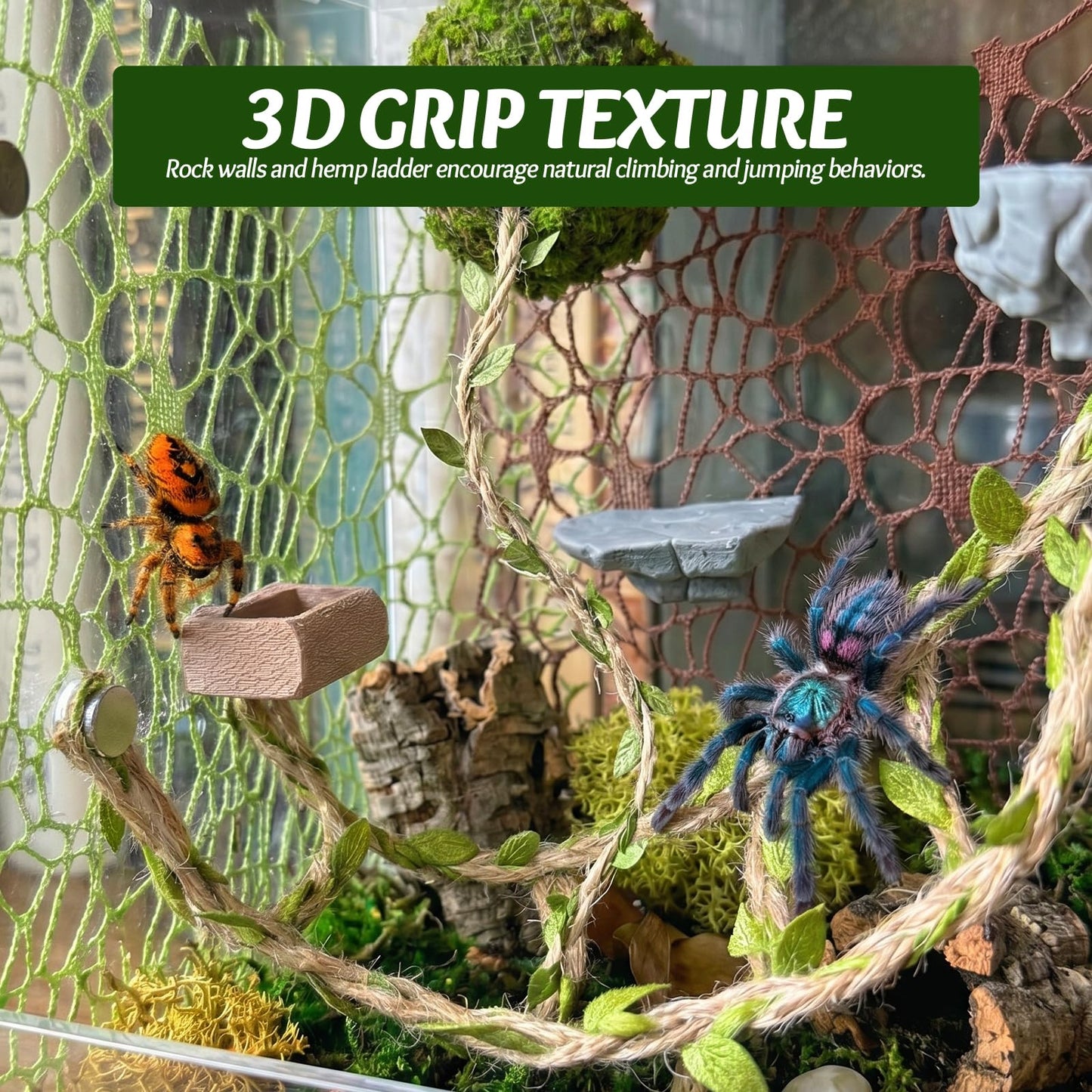 Jumping Spider Enclosure Accessories Kit - Magnetic Moss Ball Hideout, 2 Rock Ledges, Feeding Bowl, Climbing Mesh Nets & Rope Ladder - Natural Forest Habitat Decor for Regal (Moss Cave with Rope)