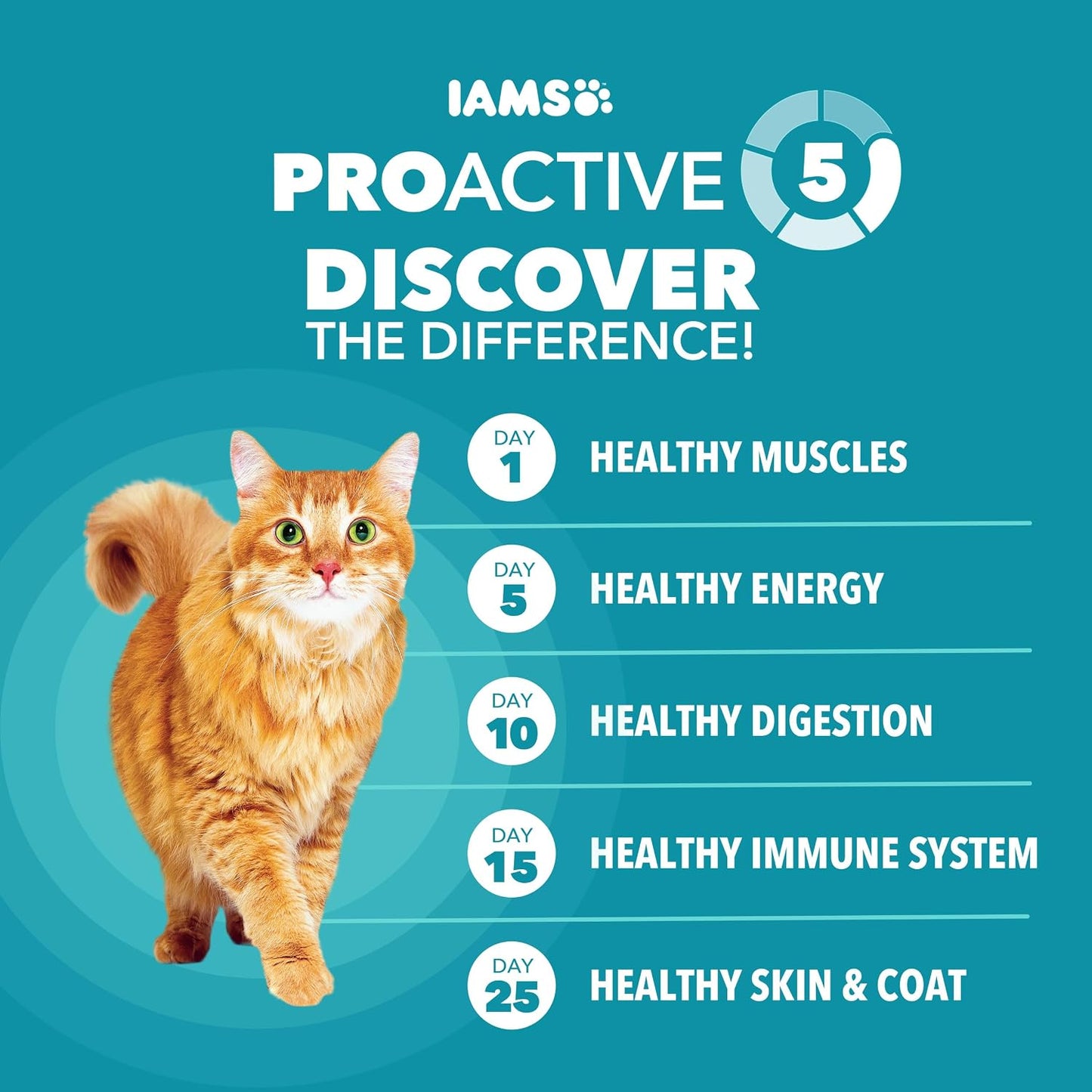 IAMS Proactive Health Dry Cat Food - Indoor Weight & Hairball Care | Real Chicken, 7 lb Bag