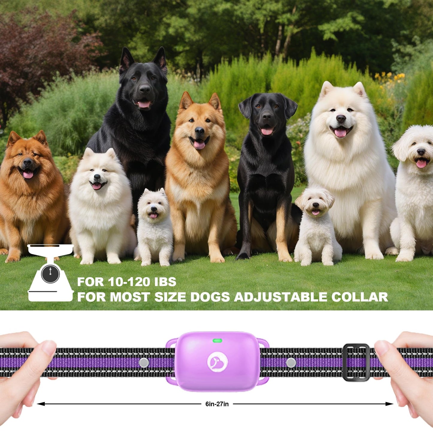 Heaflex Dog Shock Collar - 2600FT Dog Training Collar with Remote, 3 Modes(Beep/Vibration/Shock), Security Lock, IP68 Waterproof Rechargeable E-Collar for 10-120lbs All Breeds (Purple)