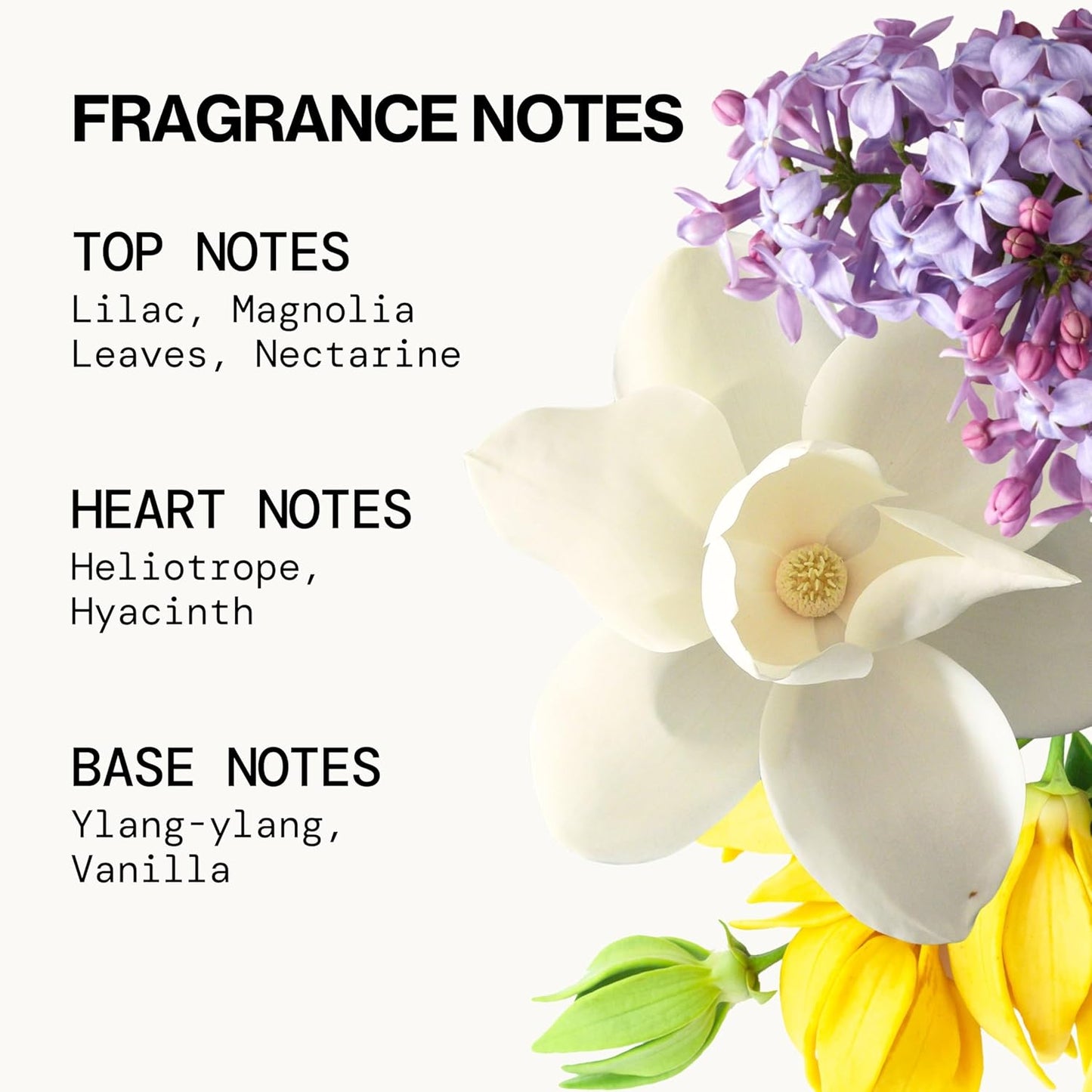 Pacifica French Lilac Hair & Body Mist - Vegan Floral Perfume Spray for Women | Alcohol-Free, 6 Fl Oz