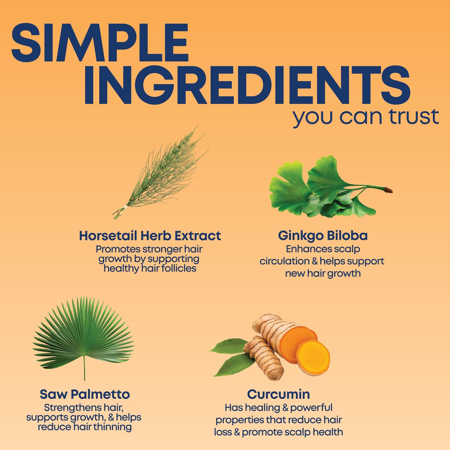 Kiss My Face Thick & Full Shampoo, For Fine and Thinning Hair, Hair and Scalp Care, Ginkgo Biloba and Curcumin, Vegan and Cruelty Free, 16 Fl Oz