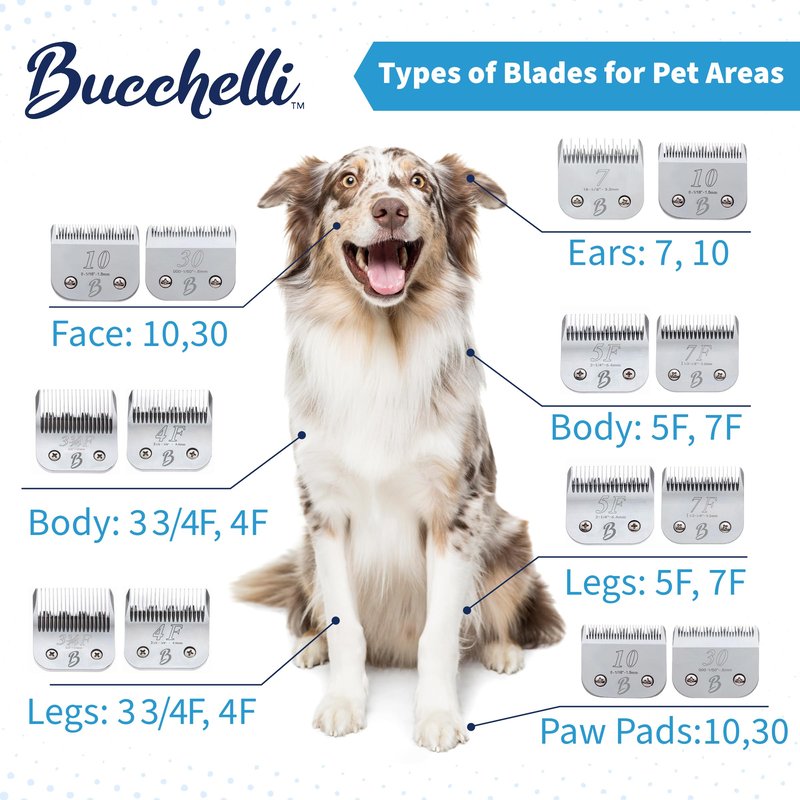 Bucchelli Detachable A Series 30 Blades for Dog Grooming Cuts Hair 1/50" - 0.5mm Japanese High Carbon Steel Dog Grooming Blade (Compatible A5 Series Clippers for Dogs Cat(B30)