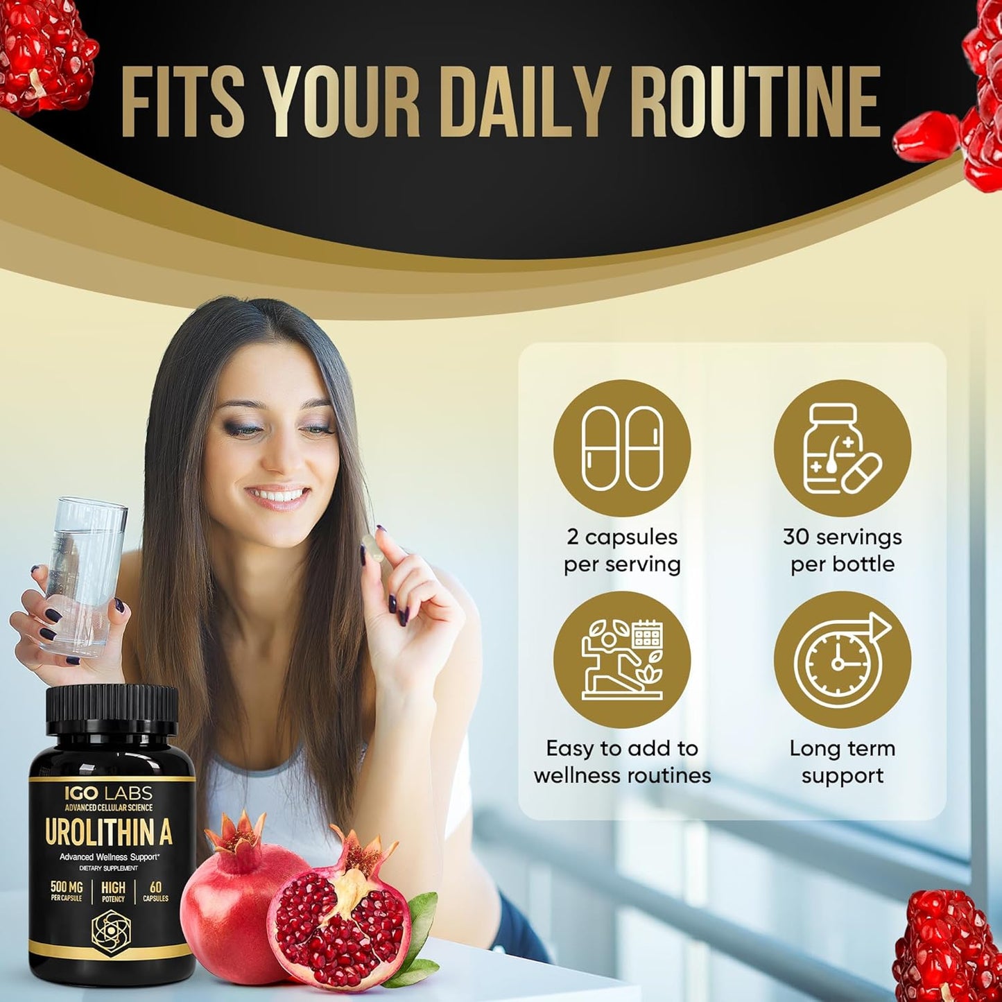 Urolithin A Capsules 500mg | High Purity Dietary Supplement for Daily Wellness - 60 Count