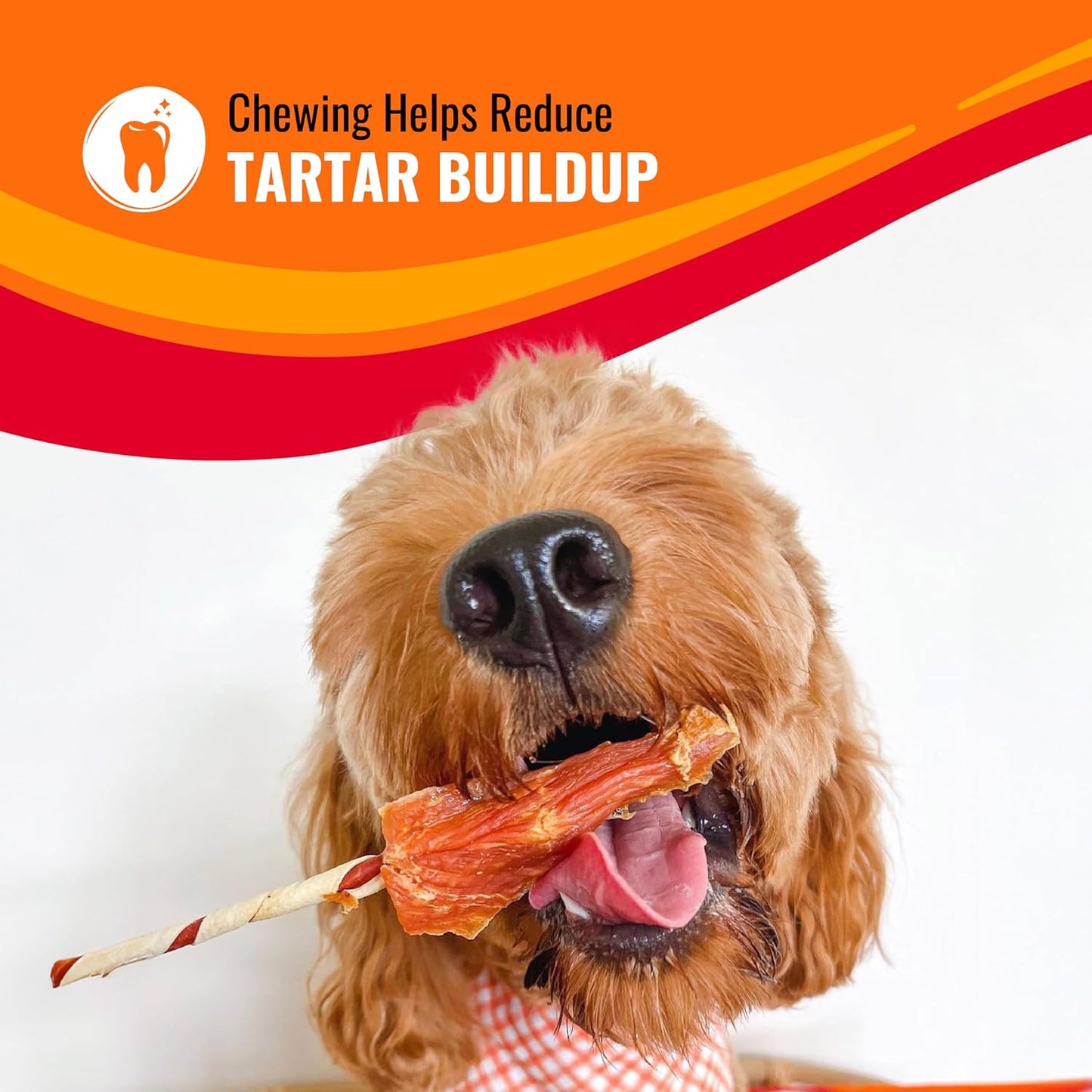 Long-Lasting Dog Treat Kabobs - Real Proteins with Beef Hide & Chicken | Supports Dental Health, 24 oz
