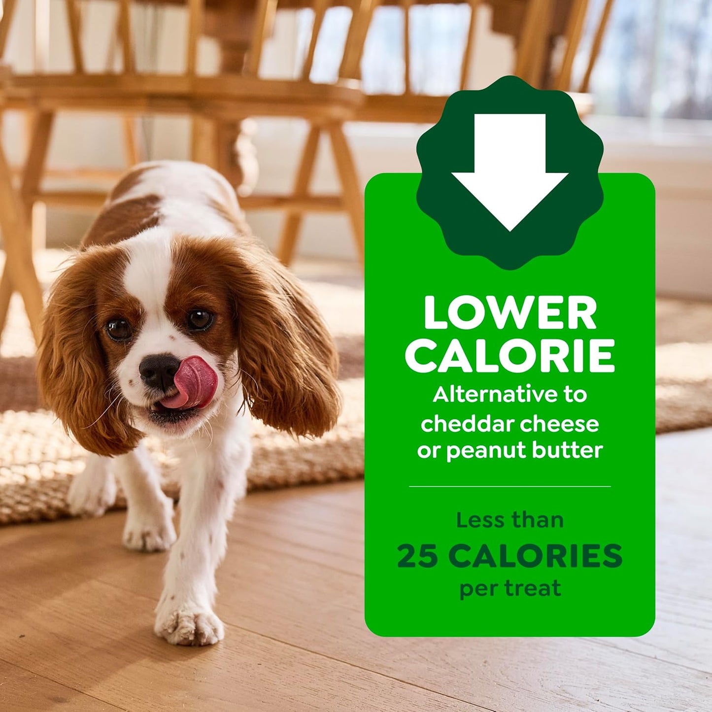 Greenies Pill Pockets for Dogs - Large Peanut Butter Treats for Medication | 15.8 oz Pouch