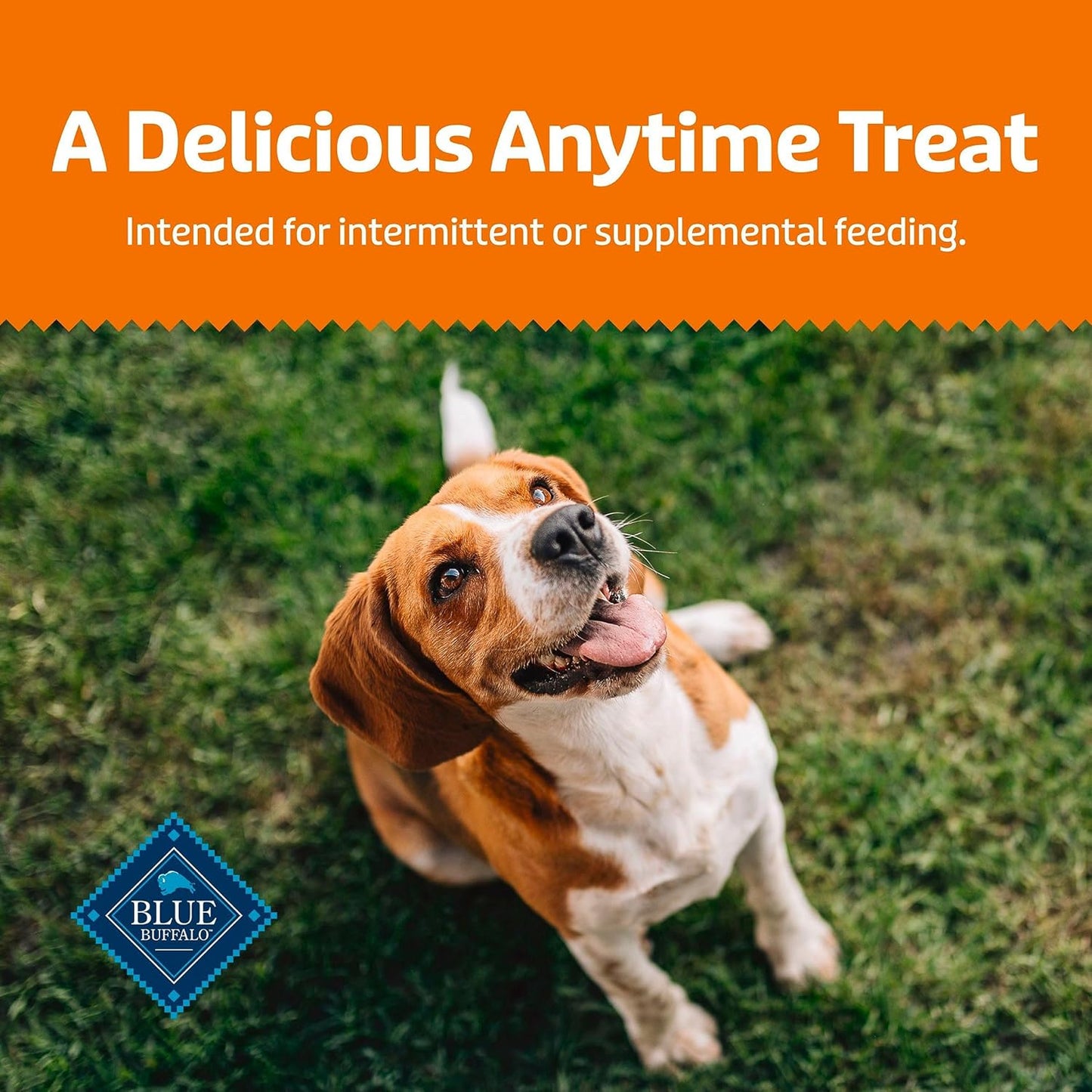 Blue Buffalo Dog Treats - Pumpkin & Cinnamon Crunchy Health Bars | Oven-Baked, Natural Ingredients, 16 oz.