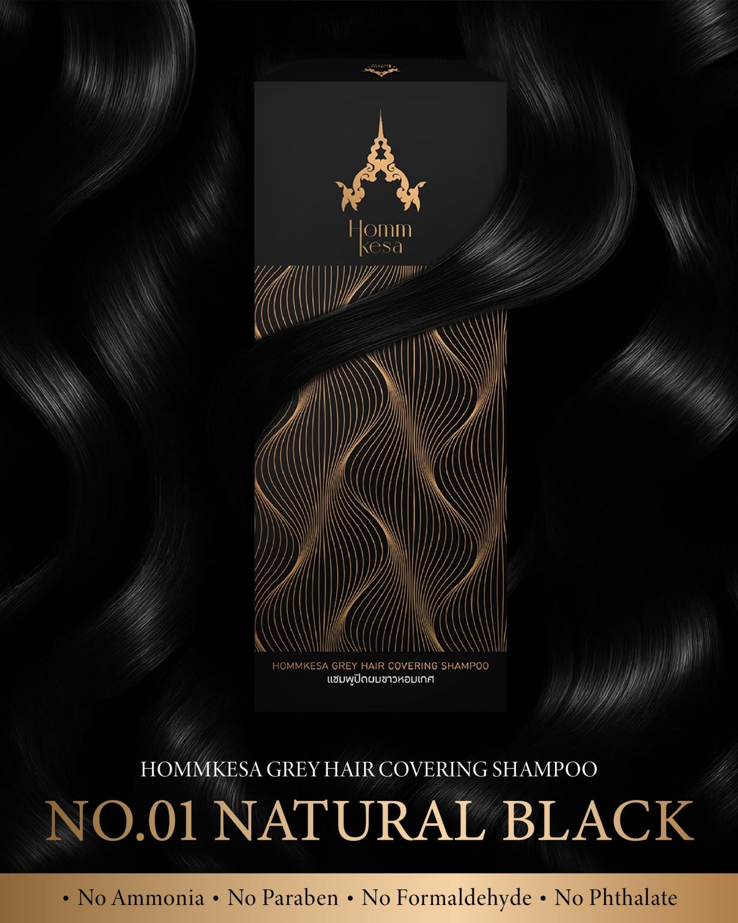 Hommkesa Gray Hair Covering Shampoo | 3-in-1 Hair Dye Shampoo for Gray Hair, Natural Black, 10.15 fl oz