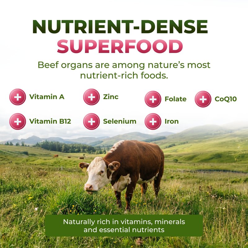 ForestLeaf Beef Organ Supplement for Women - Zero Fillers, Grass Fed Beef Organs Complex - 1200mg per Serving - Support Women's Energy & Overall Health - 120 Capsules