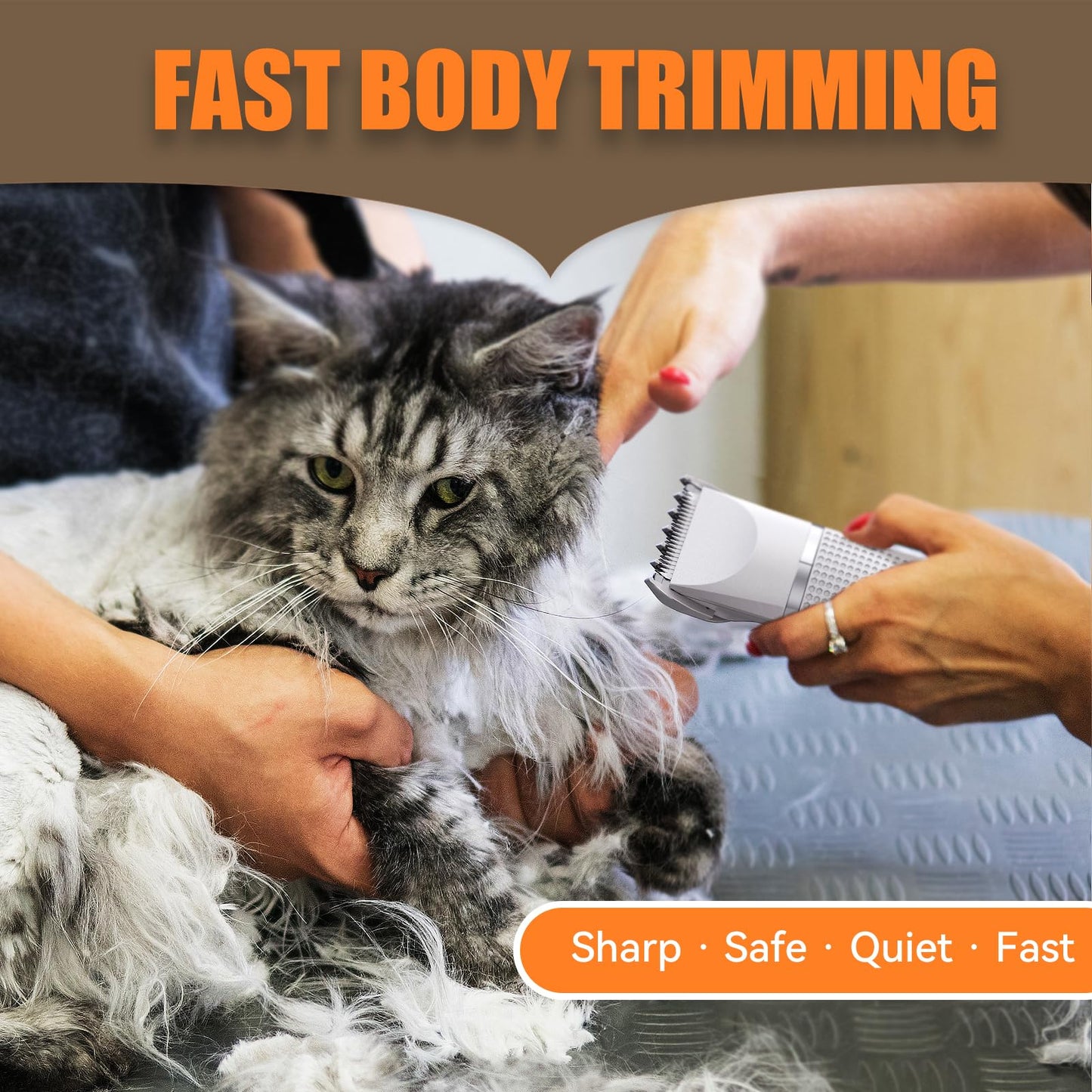 Bautrium Cat Grooming Clippers Kit with Paw Trimmer, 3 in 1 Electric Pet Hair Trimmer Supplies for Thick Matted Hair, Heavy Coat Butt Shaver Cat Razor Fur Trimmer for Dogs at Home (White)
