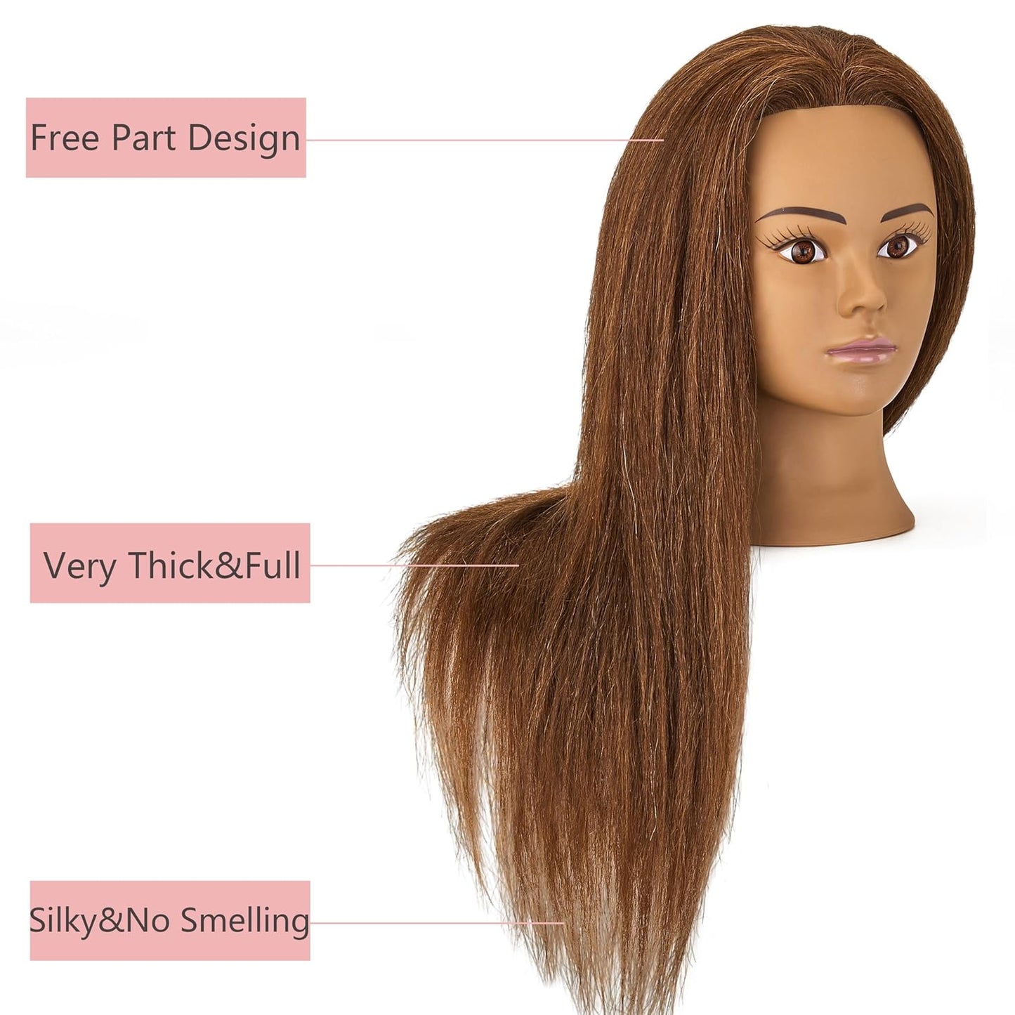 100% Human Hair Mannequin Head - Hair Styling Training Doll for Cosmetology | Includes Clamp Holder
