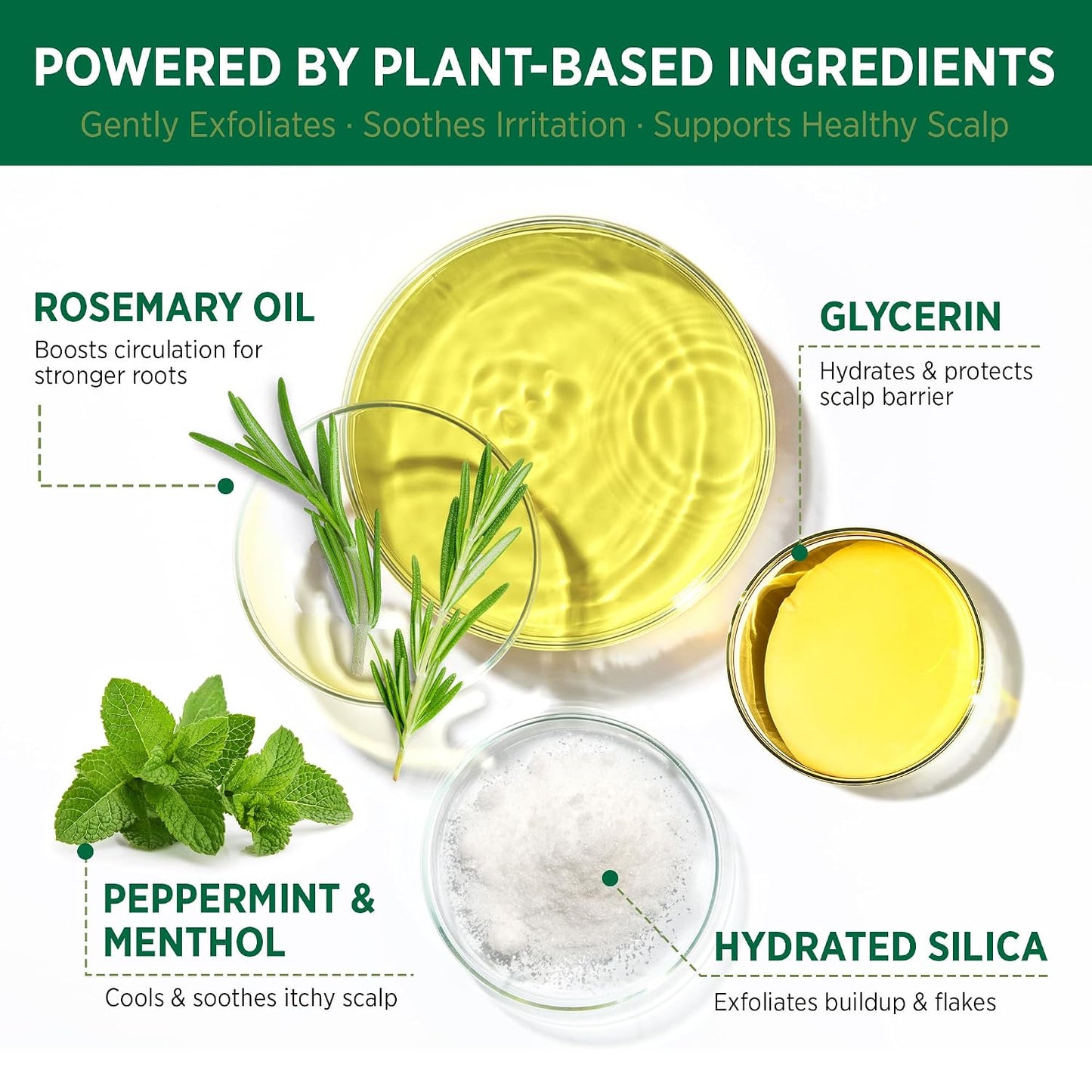 Roycederm Tea Tree Scalp Scrub - Exfoliating Pre-Shampoo Treatment for Dry, Flaky Scalps | Refreshing Rosemary Mint Formula