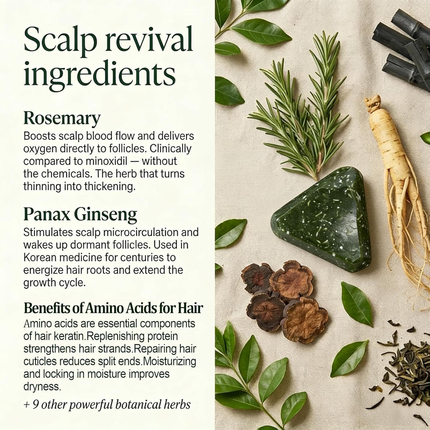 Yoracarekorean Scalp Shampoo Revival Bar,Rosemary Amino Acid Shampoo Bar,Natural Botanical Hair Care Bar for Strengthening & Thinning Hair,Gentle Hydrating Solid Shampoo