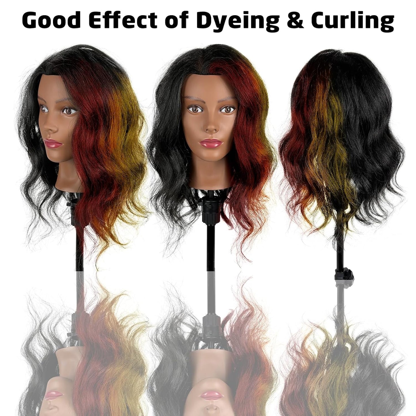Human Hair Mannequin Head - 100% Real Hair Cosmetology Doll for Hairdresser Practice | 18 Inch