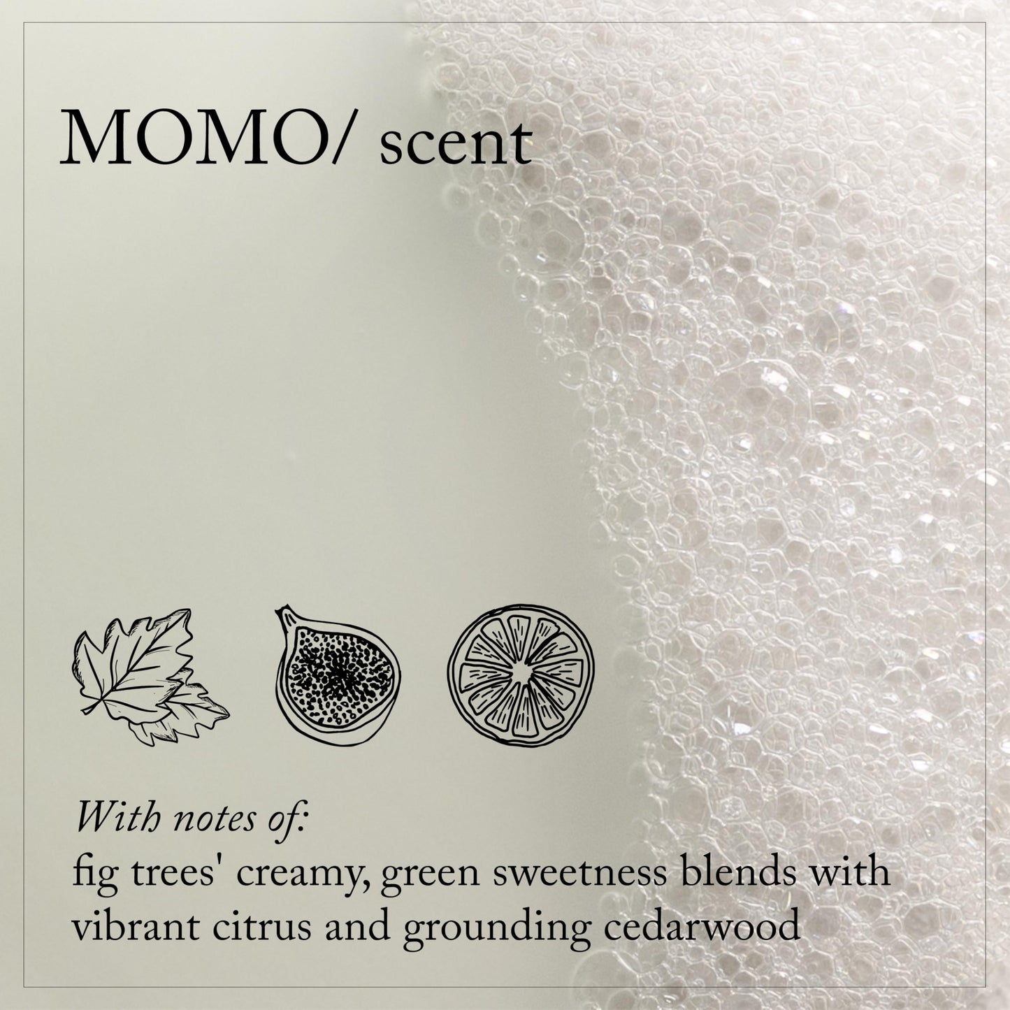 MOMO/Conditioner, 8.5 oz.