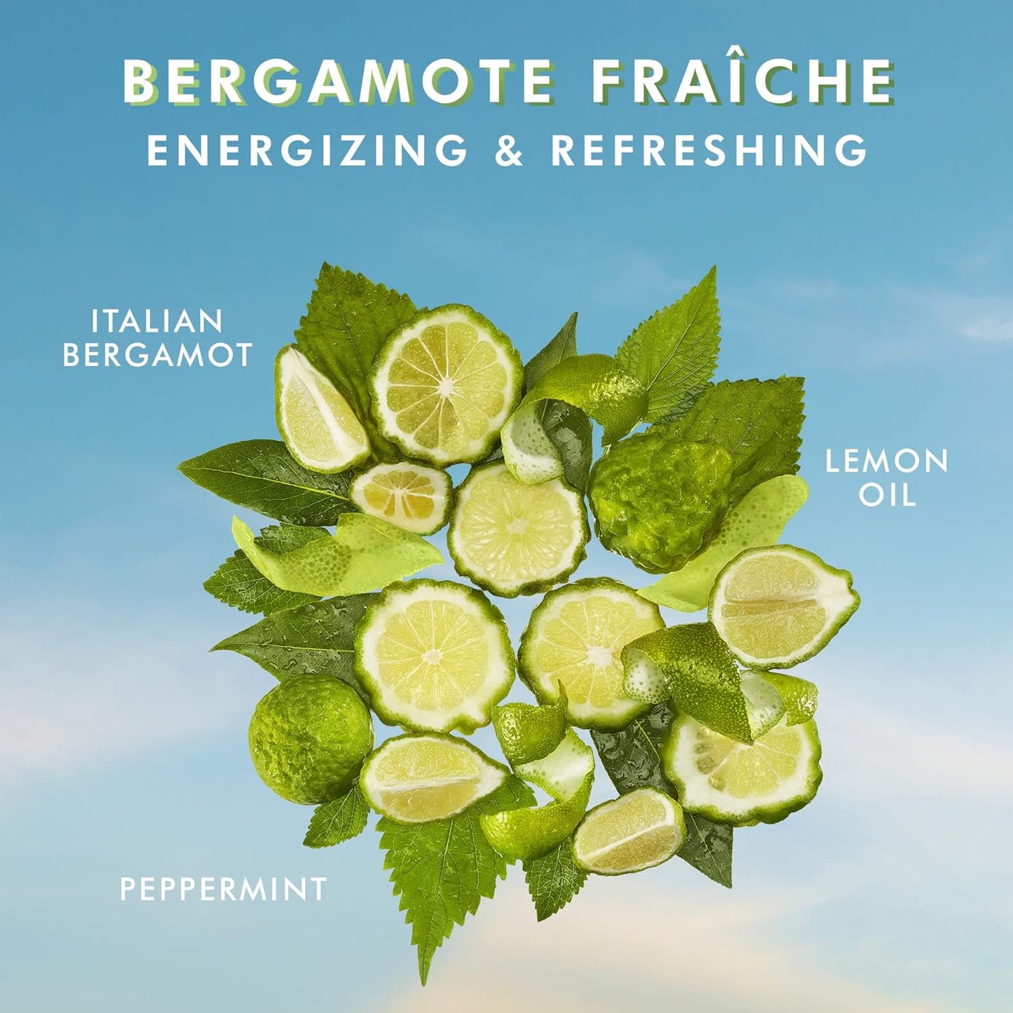 Moroccanoil Shower Gel - Bergamote Fraiche Scent | 8.5 Fl. Oz. Hydrating Formula