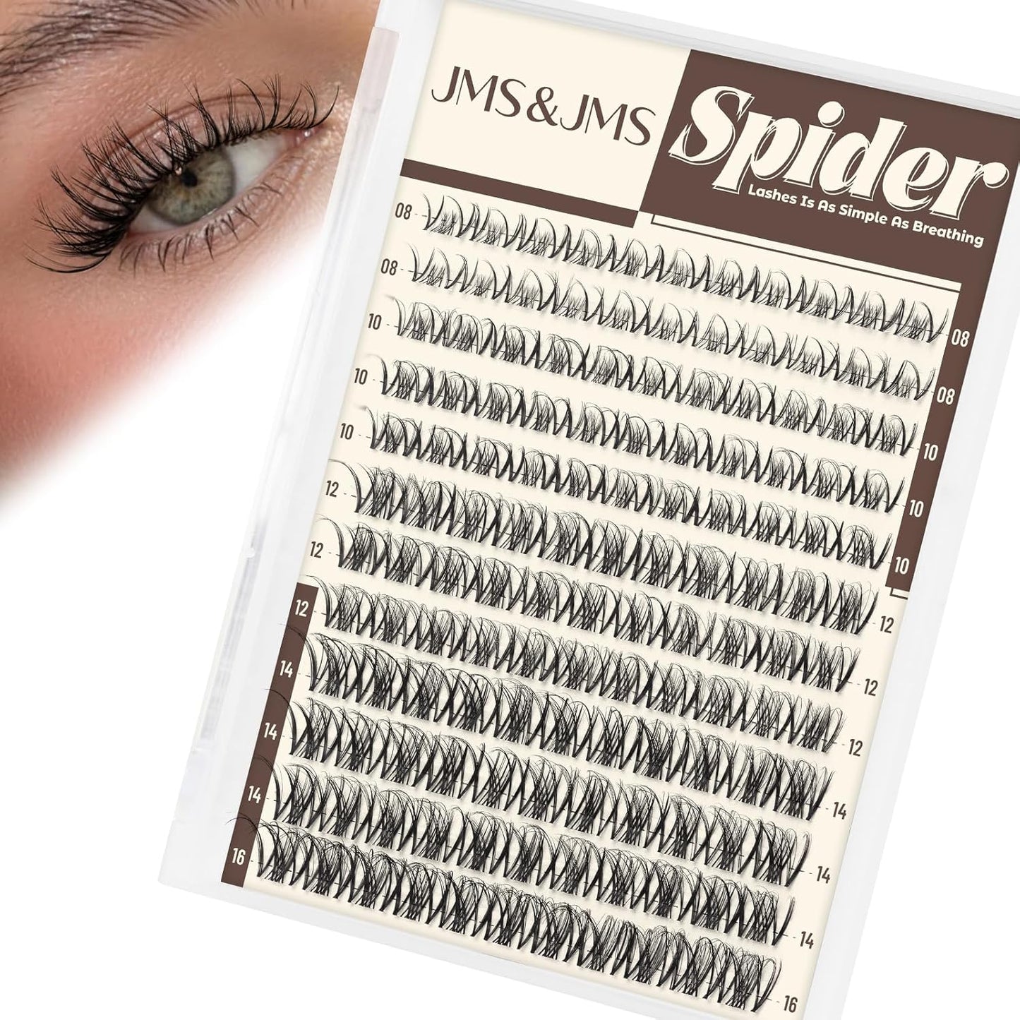 Spider Lash Clusters - Wispy Eyelash Extensions with Invisible Band | D Curly 8-16mm