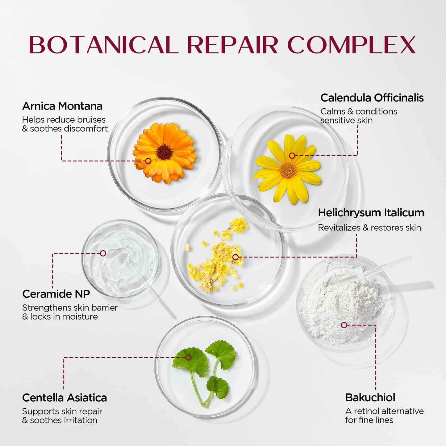 Vigority Helichrysum Balm Soothes & Repairs: Restorative Arnica Cream with Calendula for Fragile, Thin Skin & Bruise-Prone – Moisturizes, Revitalizes & Strengthens Skin Barrier for Adult Seniors 3.4oz
