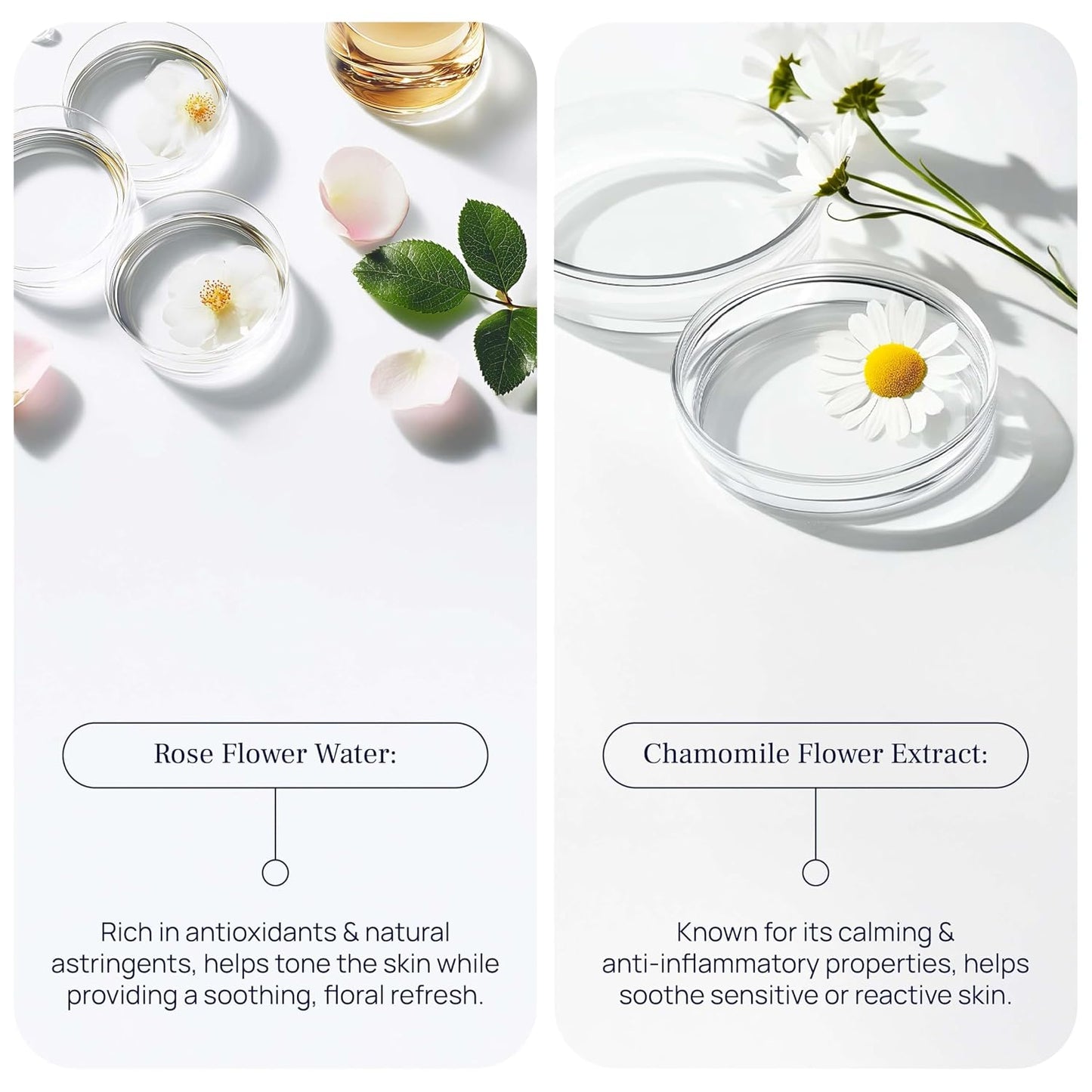 Cleansing Foam - Gentle Face Wash for Sensitive Skin | Calendula, Chamomile & Lactic Acid - 5.07 Fl Oz