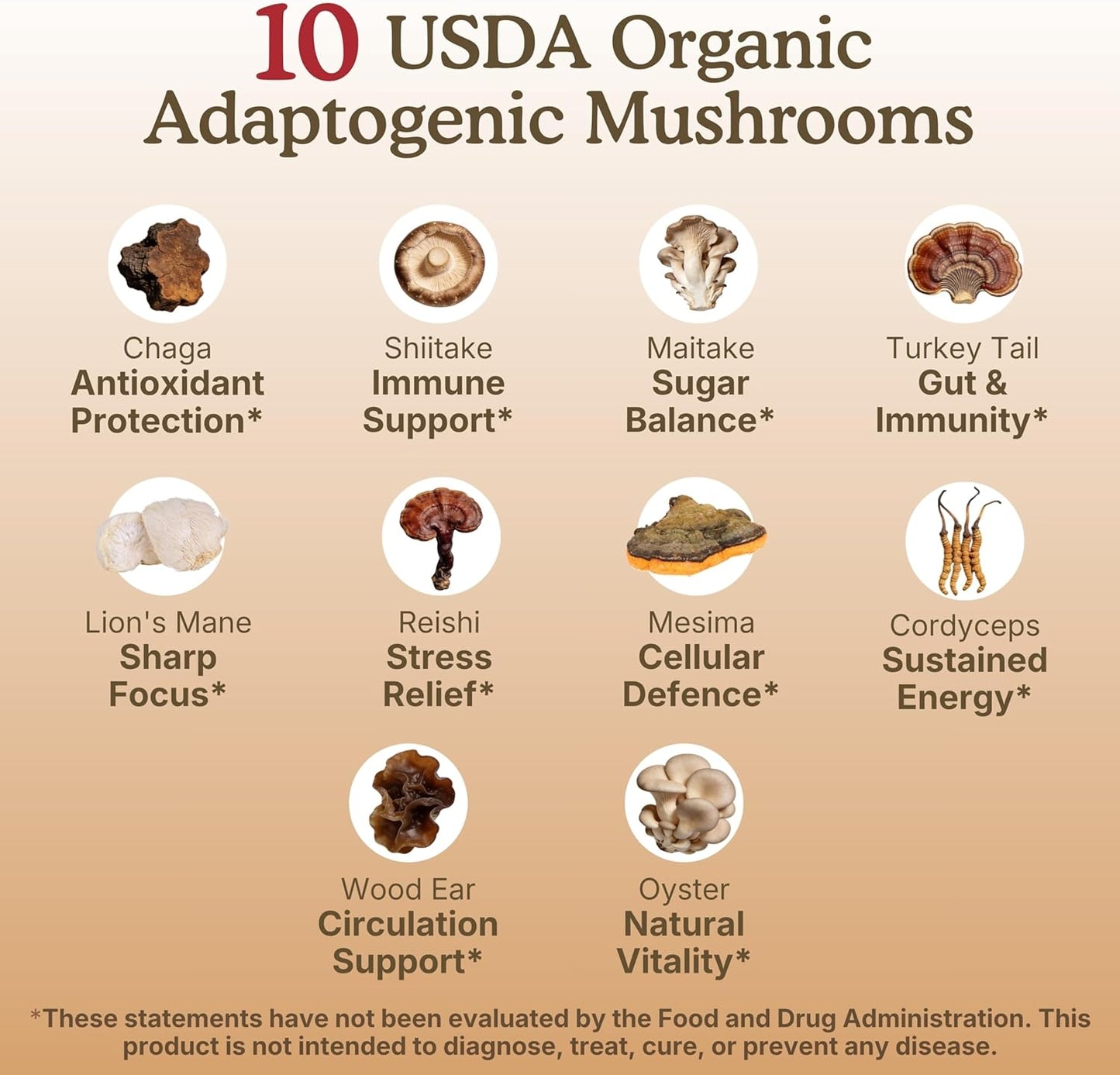 Organic Mushroom Supplement Powder - Focus & Immune Support | 100% Fruiting Body, Lions Mane, Reishi & More - 60 Servings