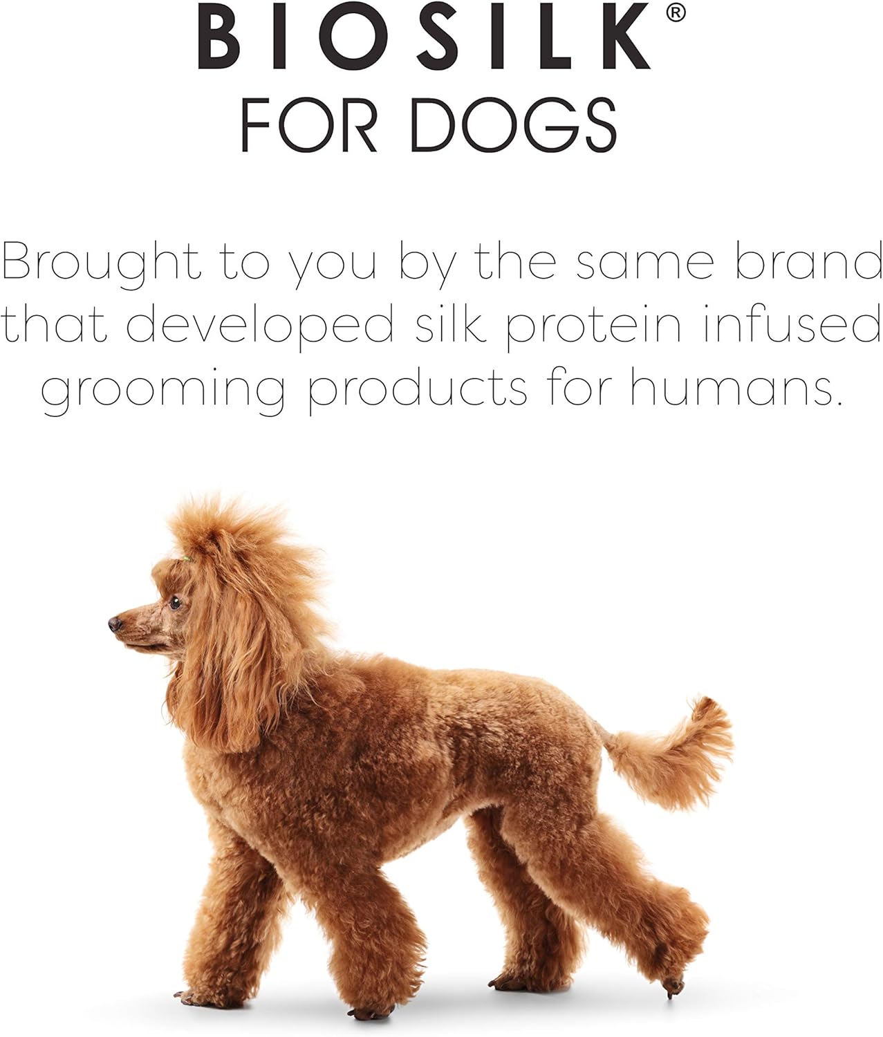 BioSilk for Pets Eco-Friendly Dog Detangling Pin Brush - Gentle Grooming Tool for Healthy Coats