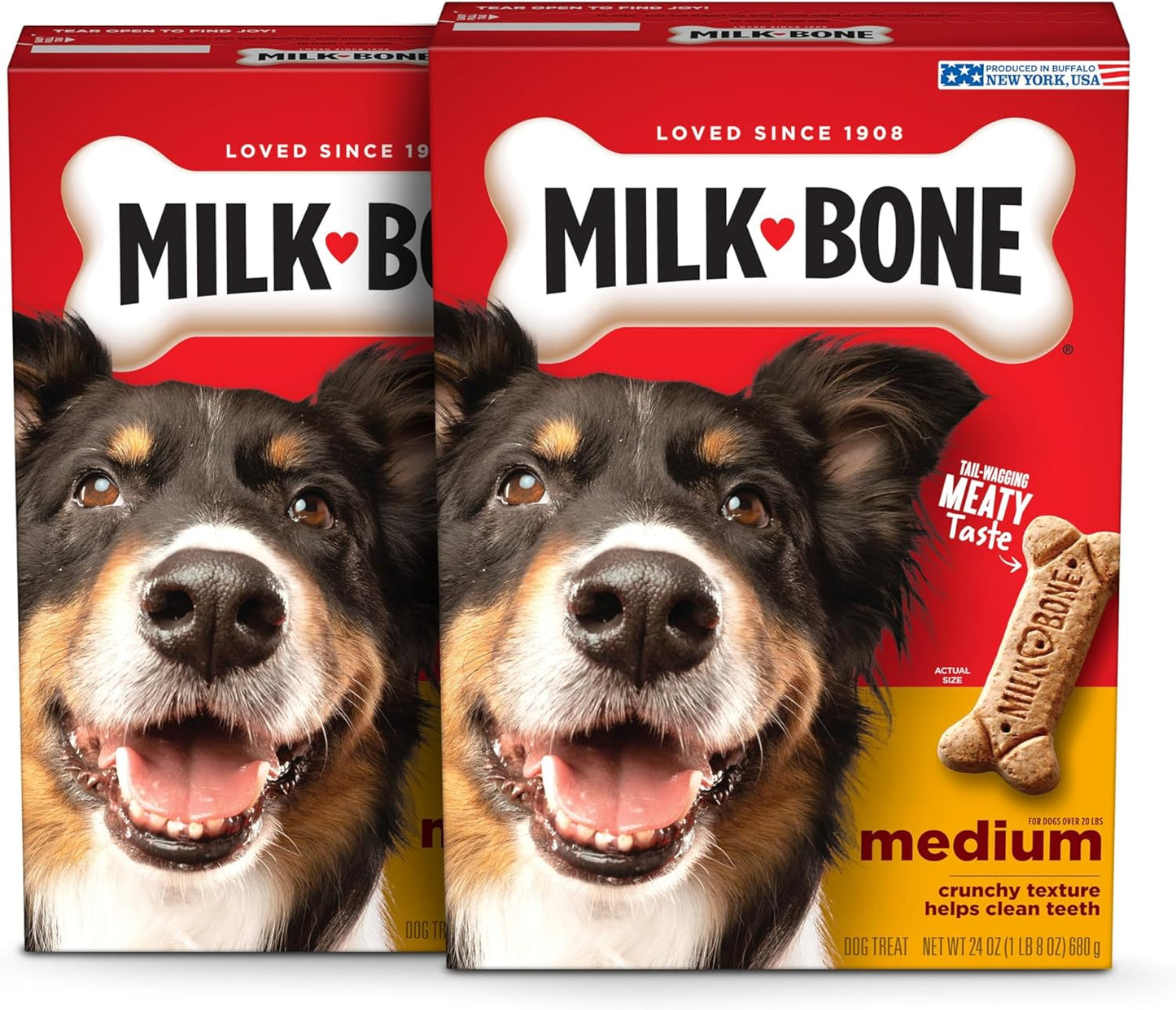 Milk-Bone Original Dog Treats - Crunchy Biscuits for Medium Dogs | 10 lb Bag