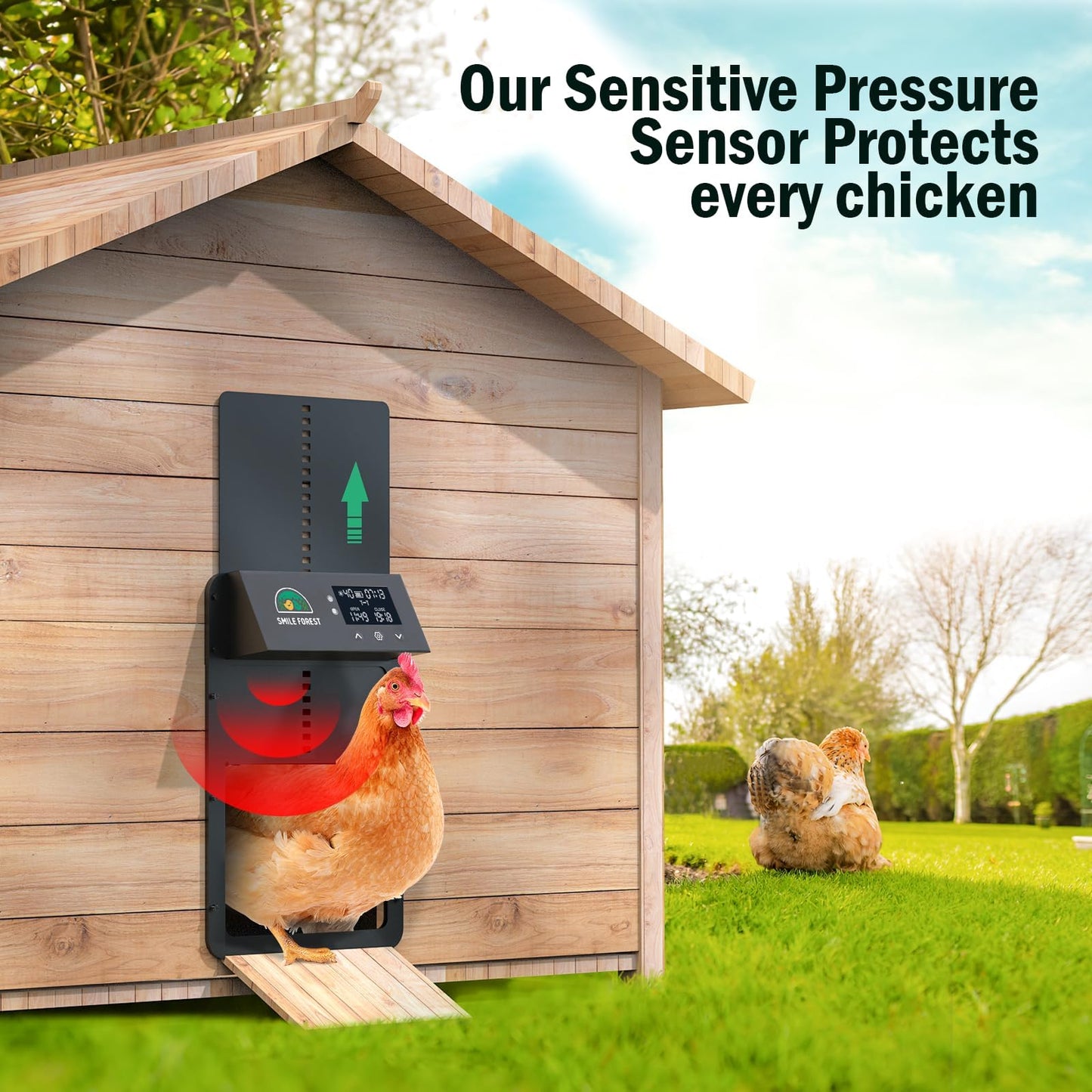 Automatic Chicken Coop Door with Light Sensor & Timer Control - Multi-Mode Chicken Door Opener with Solar Charging
