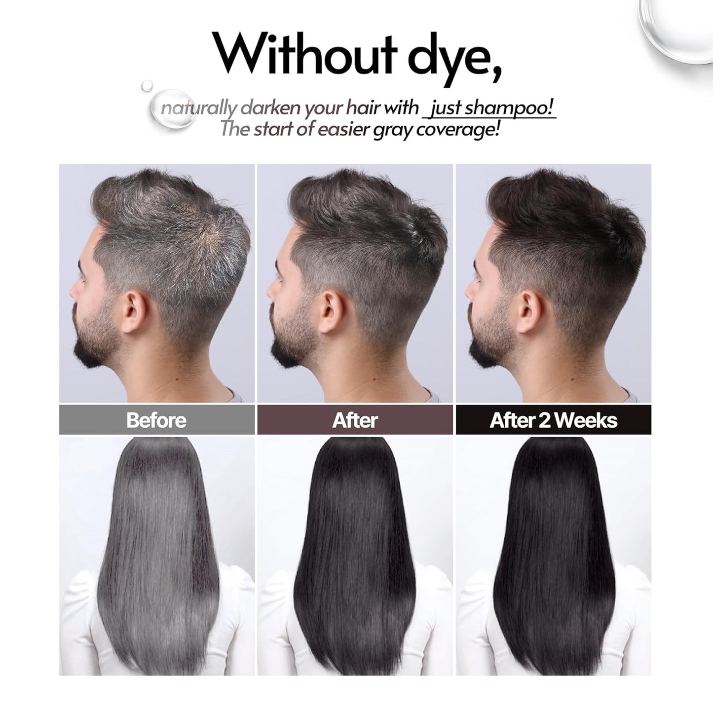 Lactobio Hair Dye Shampoo - Gradual Gray Reduction with Probiotics | Gentle Korean Formula for Daily Use (6.76 fl oz) | Black