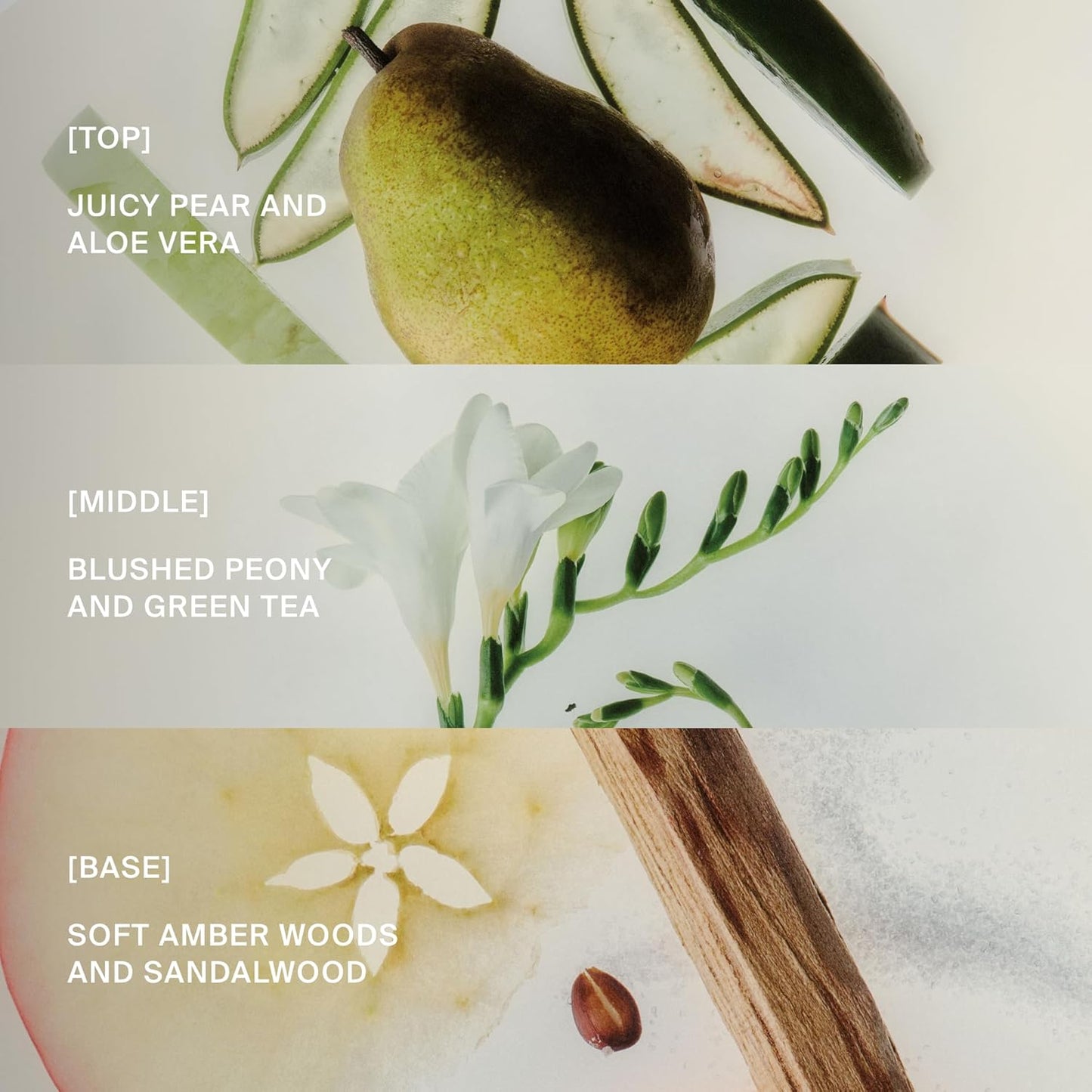 Perfect Hair Day Dry Shampoo - Advanced Formula for Clean, Fresh Hair | Sun-Kissed Pear Scent