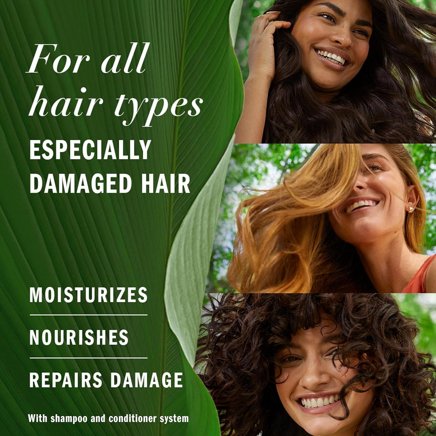 Herbal Essences Argan Oil Conditioner - Paraben Free Hair Repair | 20.2 fl oz, With Camellia Oil & Aloe Vera