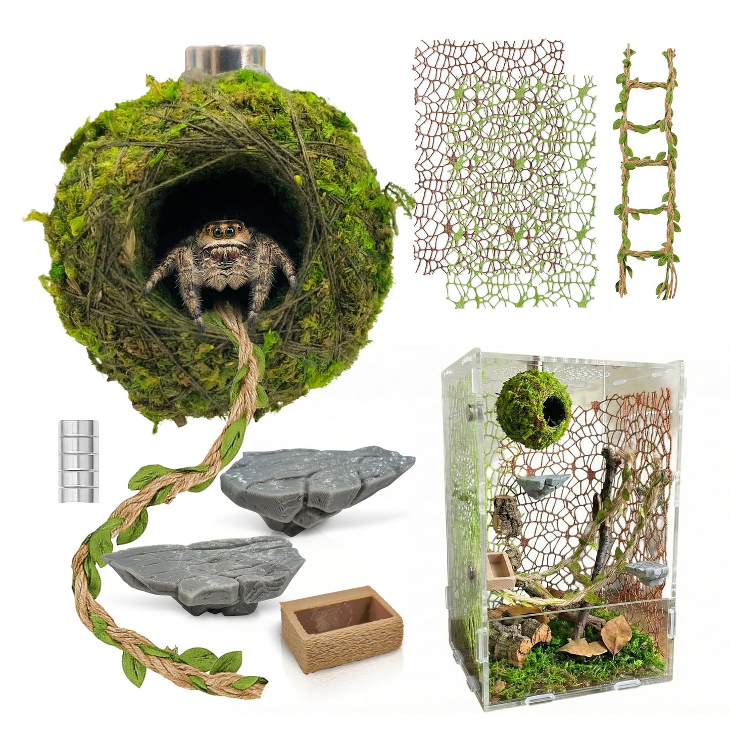 Jumping Spider Enclosure Accessories Kit - Magnetic Moss Ball Hideout, 2 Rock Ledges, Feeding Bowl, Climbing Mesh Nets & Rope Ladder - Natural Forest Habitat Decor for Regal (Moss Cave with Rope)