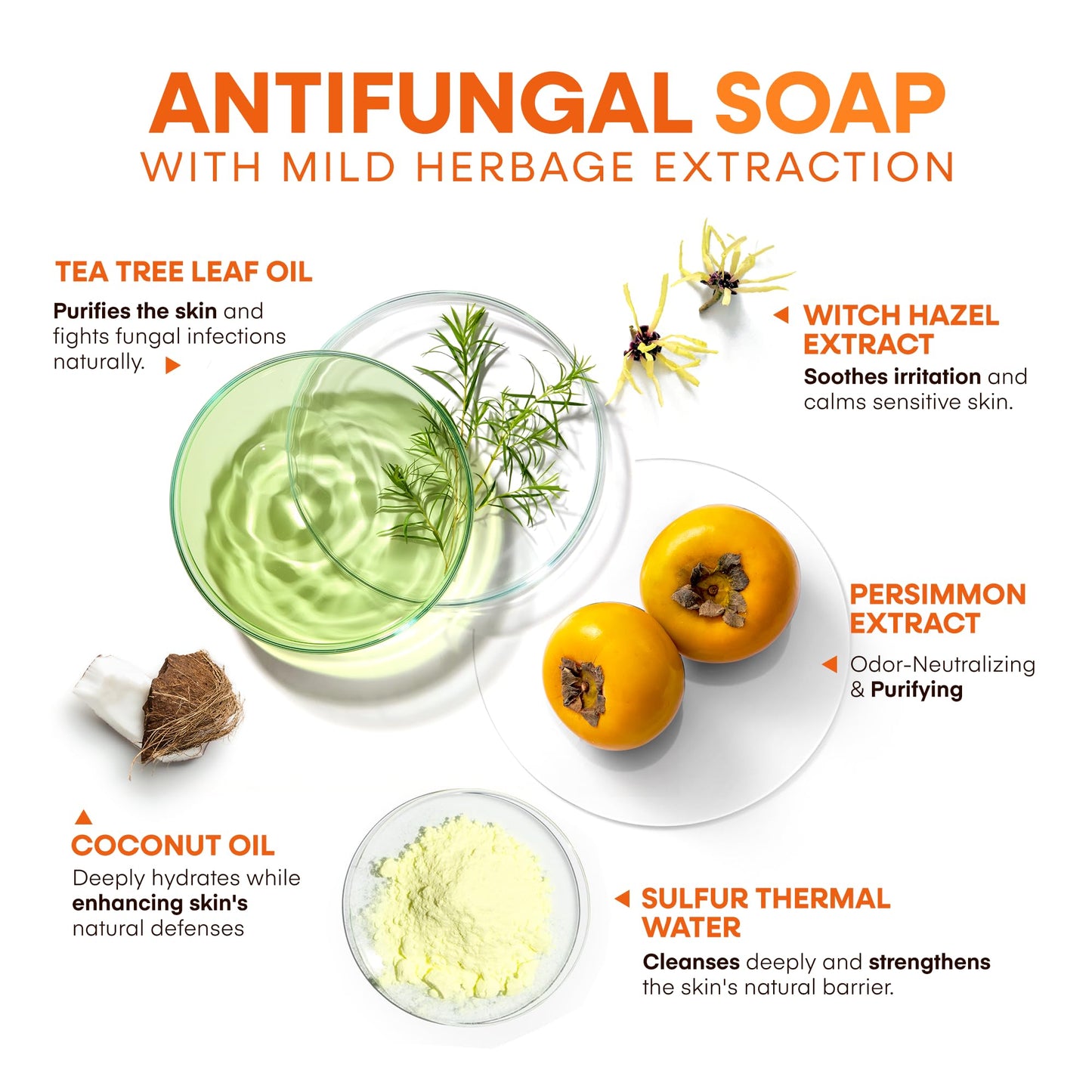 Hermon Antifungal Soap Bar: Antifungal Soap Treatment for Ringworm, Jock Itch & Athlete’s Foot with Tea Tree Oil – Medicated Odor-Neutralizing Persimmon Soap for Persistent Body & Aging Odor, 2Bars