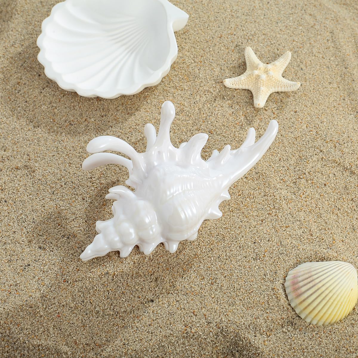 Conch Hair Clips for Women - Trendy Seashell Claw Clips for Thick Hair | Summer Beach Style