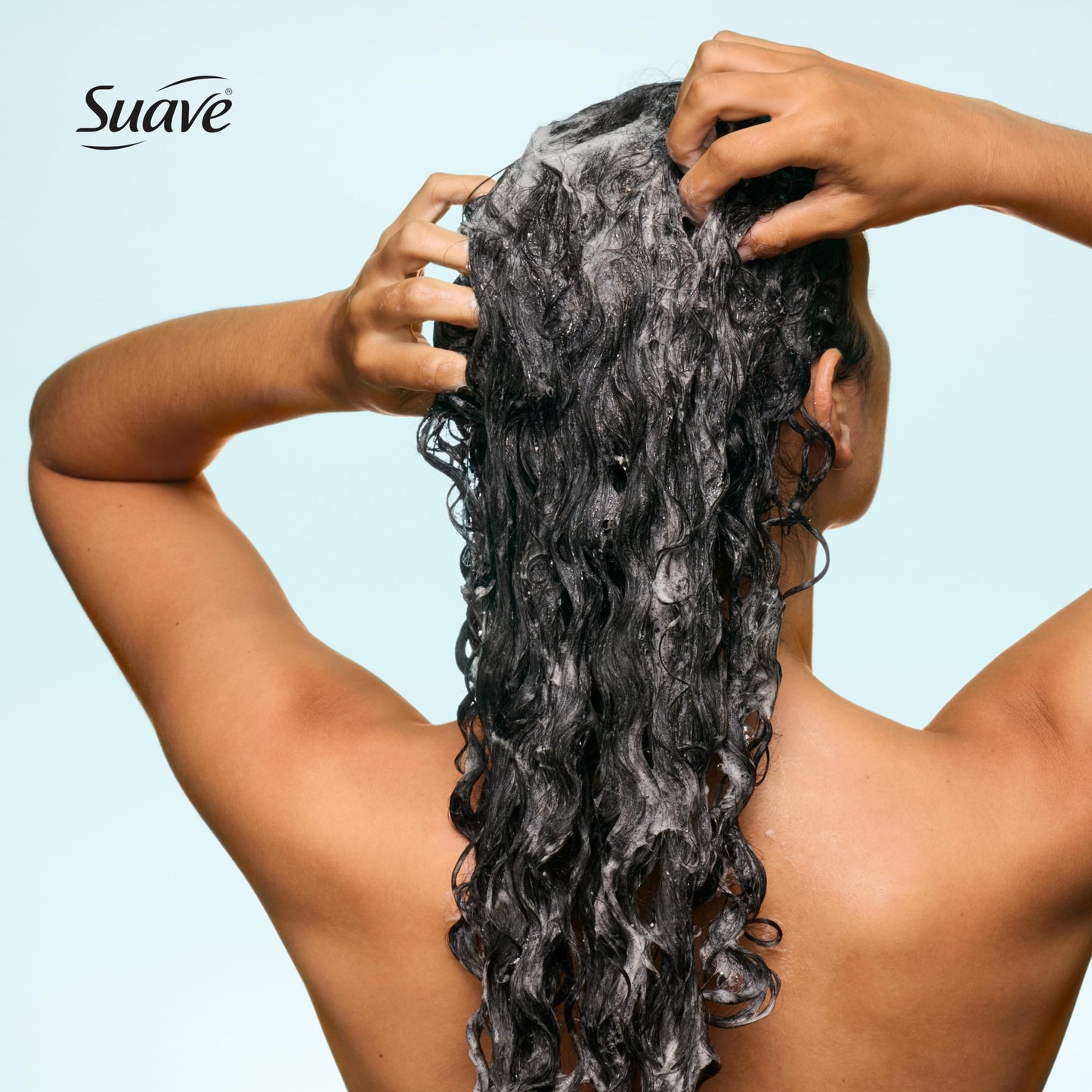 Suave Moisture Repair Shampoo, Sulfate-free, for restored moisture with every wash, safe for color treated hair, 12.6 oz Pack of 6