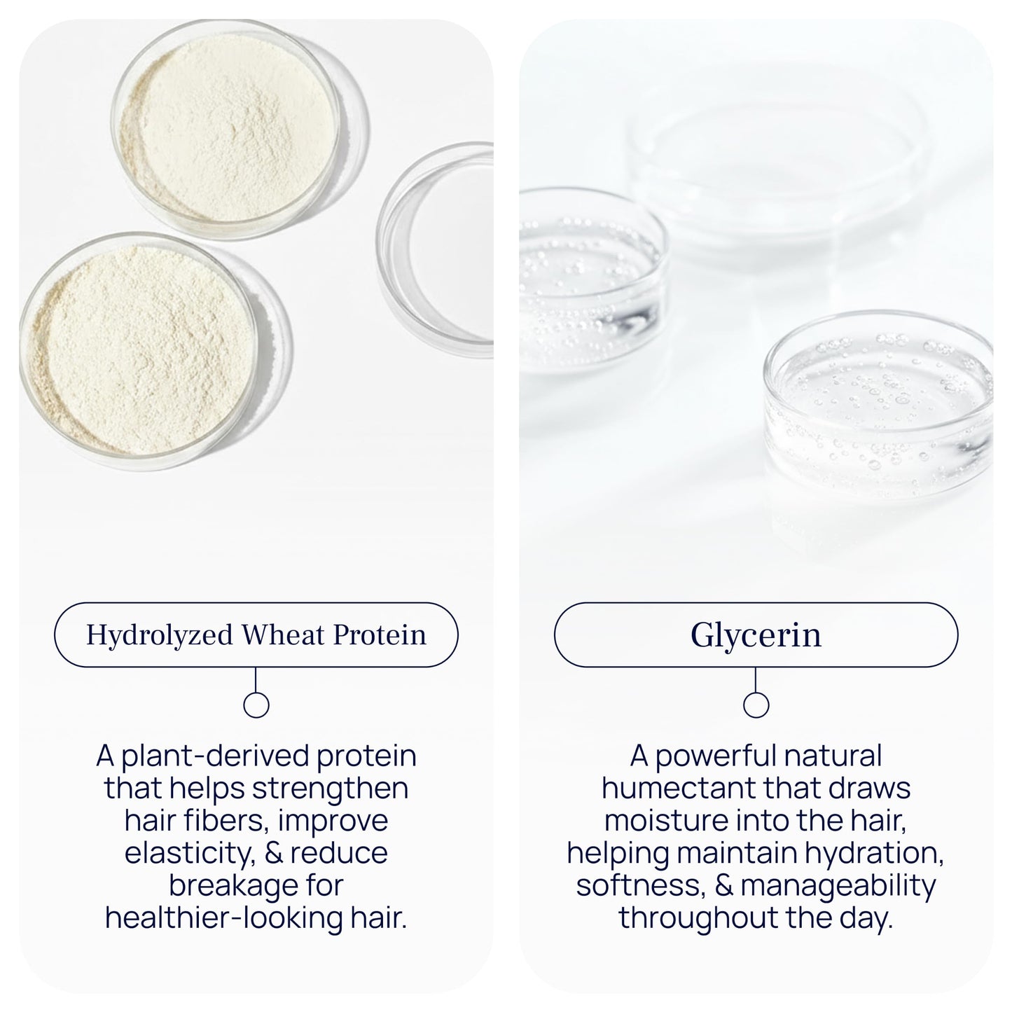 PUREANCE Hydrasilk - Moisturizing Hair Conditioner for Dry Damaged Hair