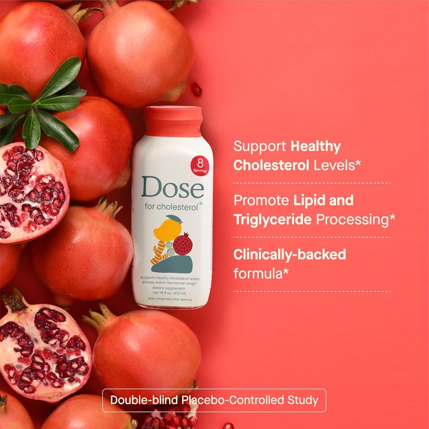 Cholesterol Supplements - Maintain Healthy Levels & Support Cardiovascular Health | Gluten-Free, Vegan, Zero Sugar, 16oz Bottle (3 Pack)