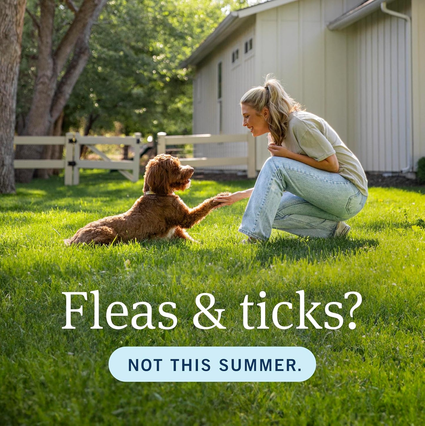 PetArmor Plus Flea and Tick Prevention for Dogs - Fast-Acting Waterproof Treatment | 3 Doses for Small Dogs (5-22 lbs)