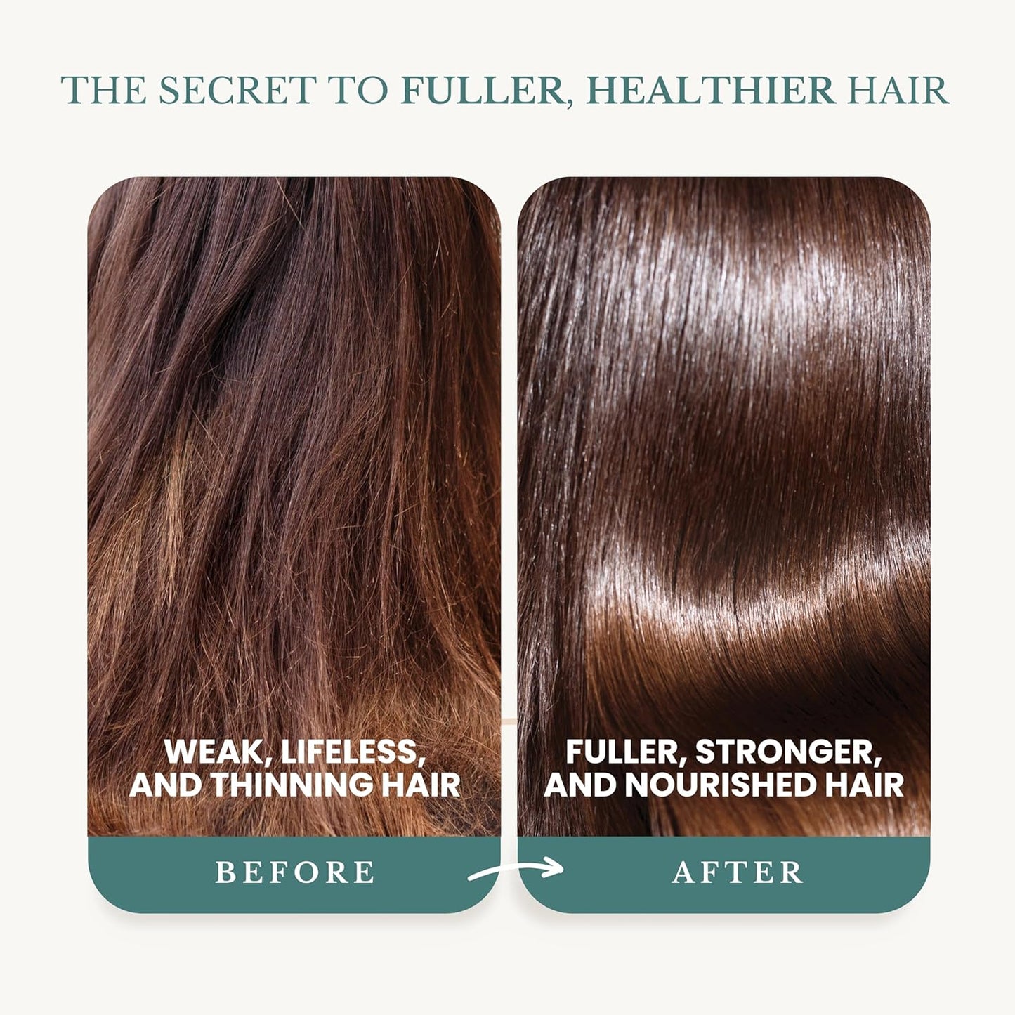 Rosemary Oil Shampoo - Biotin Formula for Thinning Hair | Sulfate-Free, Organic, 16 fl oz