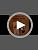 Tim Hortons Caramel Toffee Flavored Coffee Pods - 12ct
