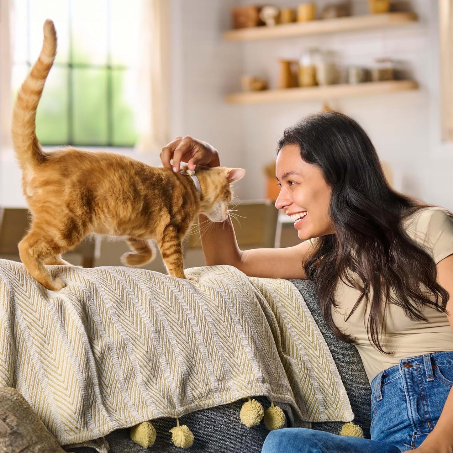 Original Choice Dry Cat Food - Meow Mix | 6.3 lb Bag for Healthy Cats