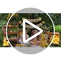 Lemon Happy Birthday Banner | Pre-Assembled Summer Party Decor