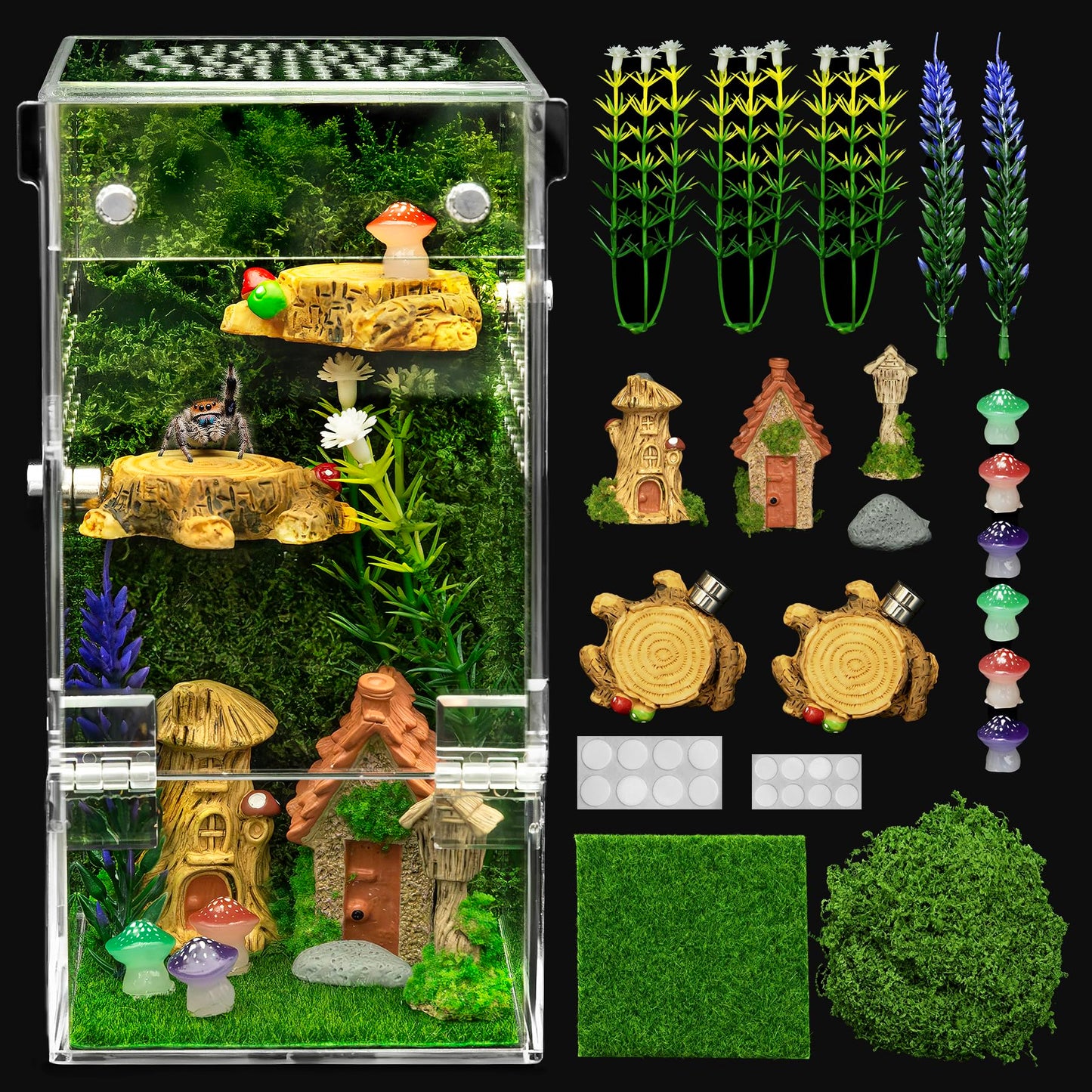 Clioran Jumping Spider Enclosure Starter Kit,Escape Proof Forest Terrarium