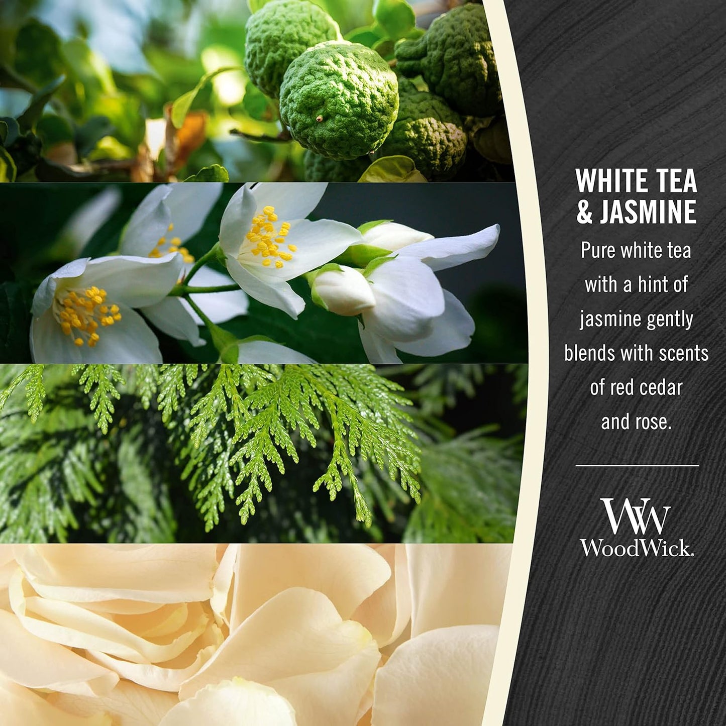WoodWick Medium Hourglass Candle - White Tea & Jasmine Scent | 9.7oz, Crackling Burn, Perfect for Gifting (Pack of 4)