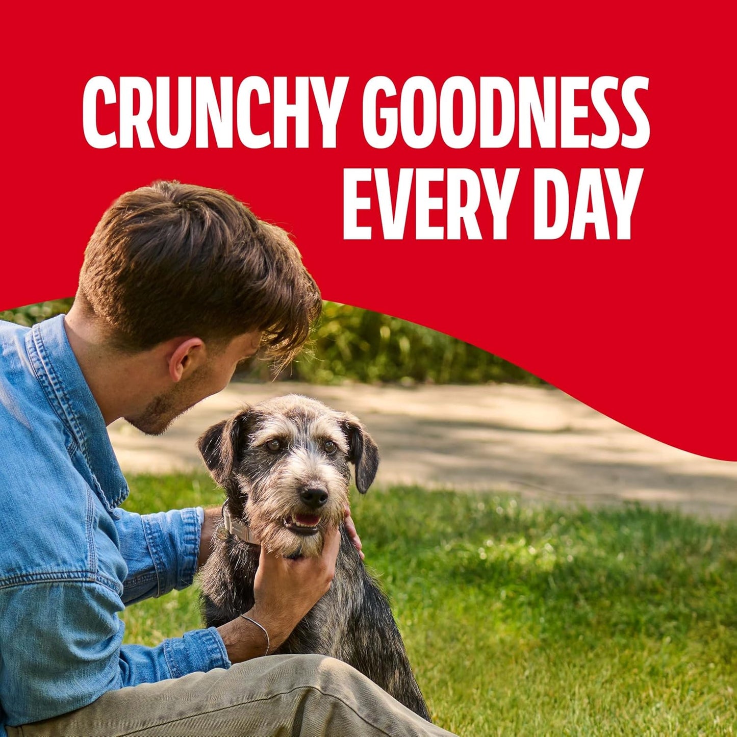 Milk-Bone Original Dog Treats - Crunchy Biscuits for Medium Dogs | 10 lb Bag