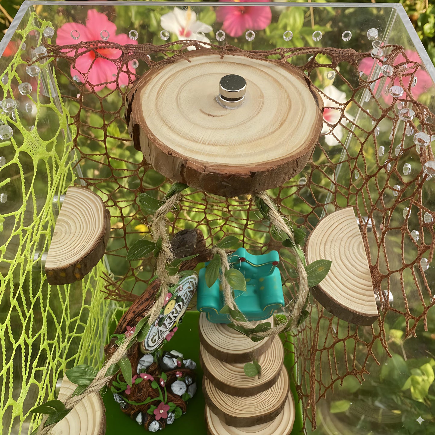 Jumping Spider Enclosure Accessories - 3 Wood Ledges & 1 Climbing Rope