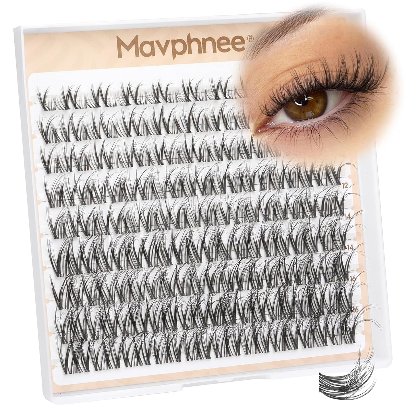 Natural Wispy Eyelash Extensions - Spider Lash Clusters 8-16MM | CC Curl, Flexible Clear Band for Effortless Application