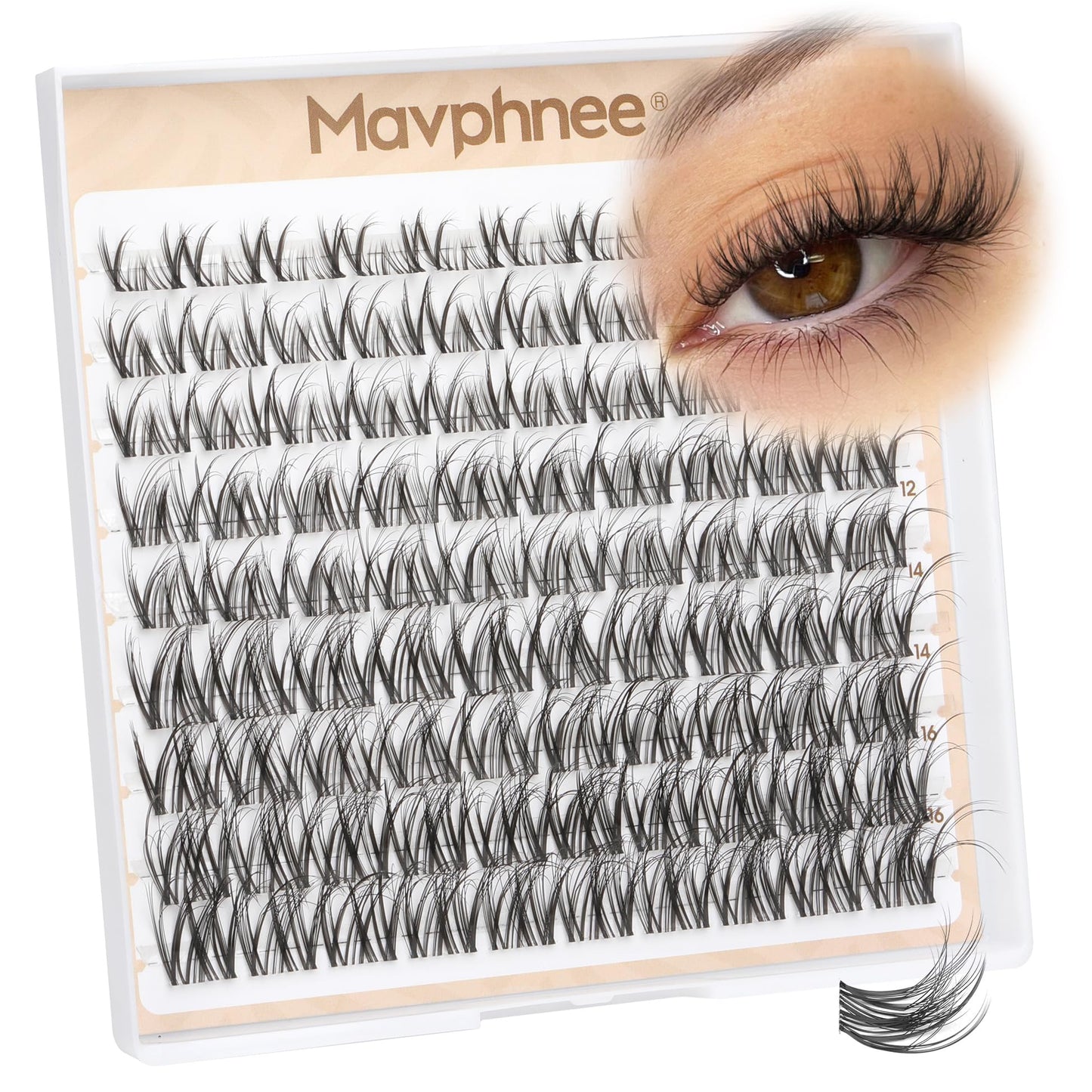 Spider Lash Clusters Natural Wispy Eyelash Extensions 8-16MM Cluster Lash Individuals with CC Curl & Flexible Clear Band Effortless Application Clusters Seamless Blend Eyelashes Inspired by Kim K