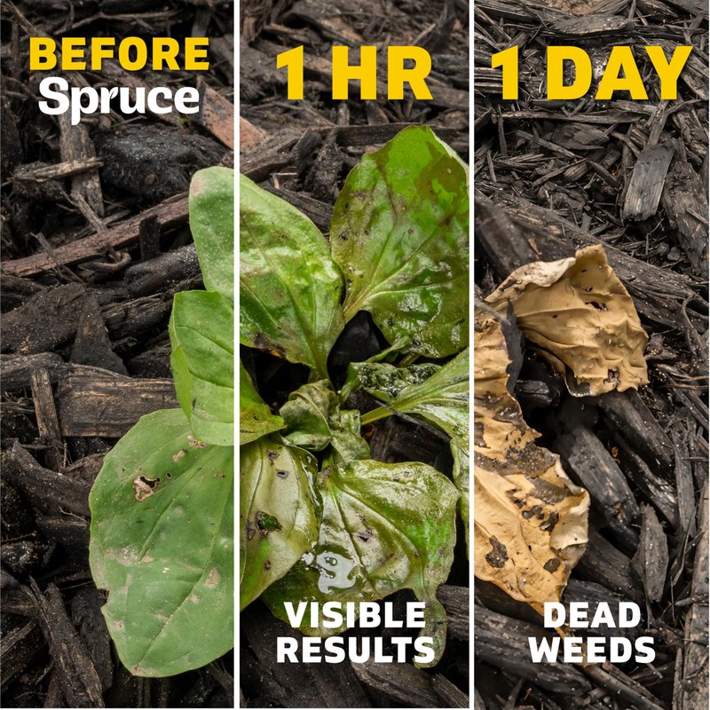 Spruce Weed Killer Spray Power Wand Kit - Weed + Grass Killer₃ Reusable Weed Sprayer, Spot-Treating Kills Weeds in Lawns and Gardens, Additional 2 AA Batteries Included for Continuous Power (64 oz)