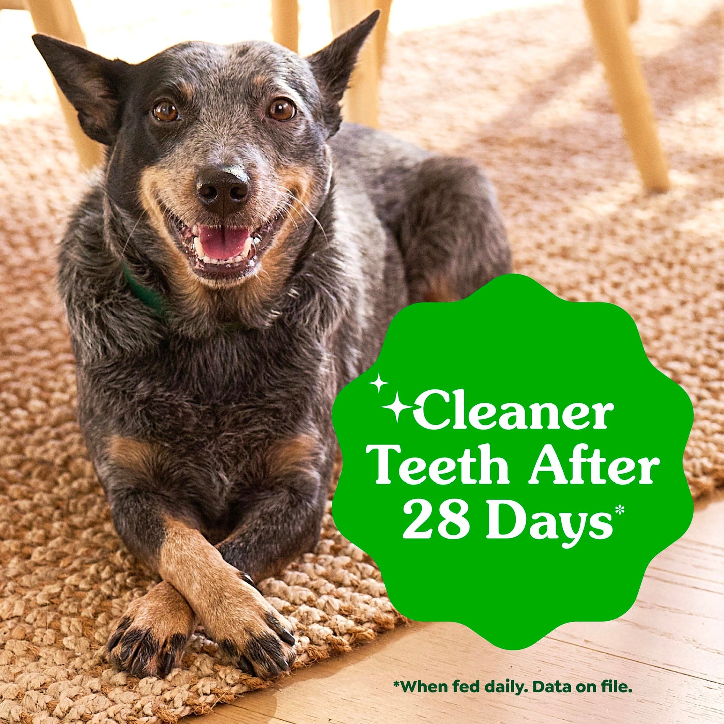 Greenies Veterinarian-Recommended Adult Natural Dental Dog Treats Regular Size, Dog Dental Chews, Original Flavor, 36 oz. Pack, 36 Count
