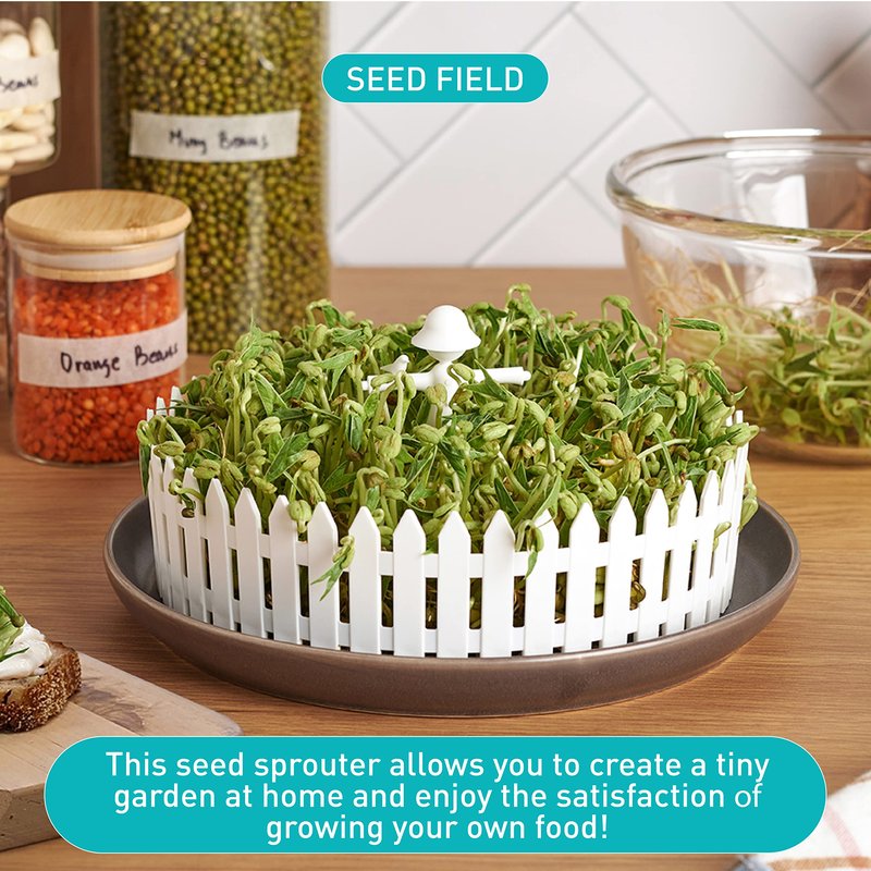 PELEG DESIGN Seed Field Seed Starter for Kitchen Use, Indoor Seedling Tray w/Fence and a Scarecrow, Fits Any Plate, Ideal for Any Sprouting Seeds